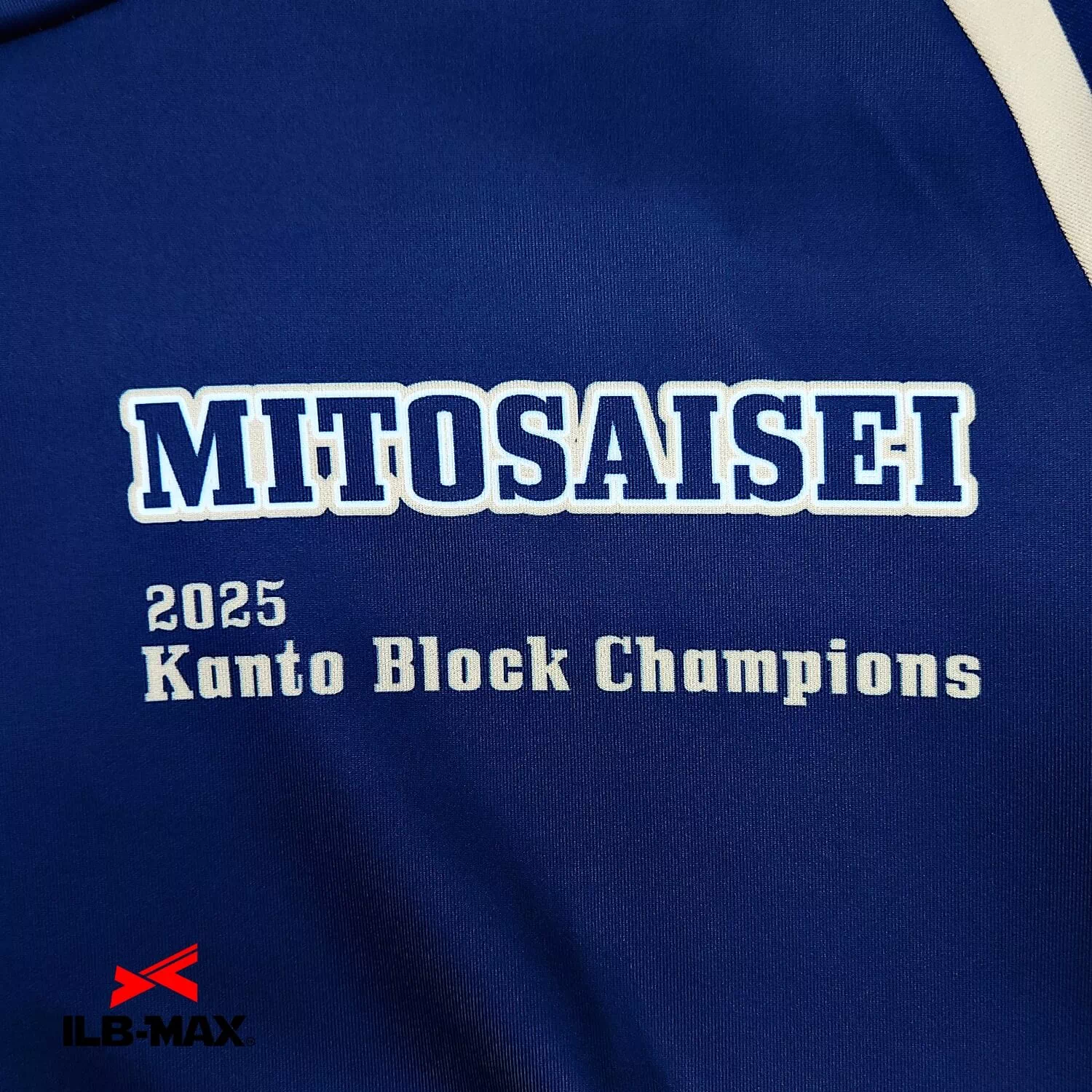 MITOSAISEI_1st_PV1
