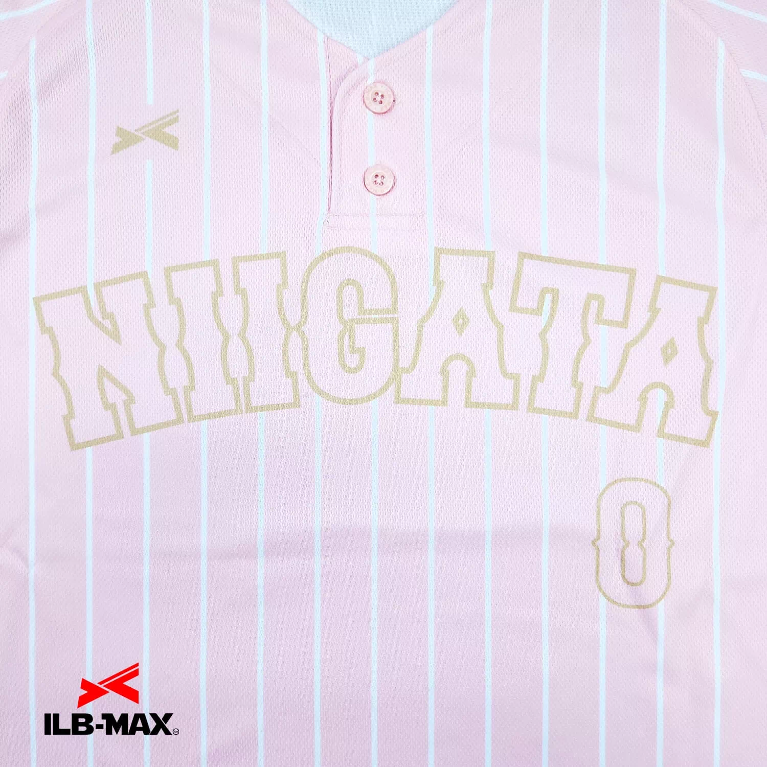 NIIGATA NOGYO_1st2