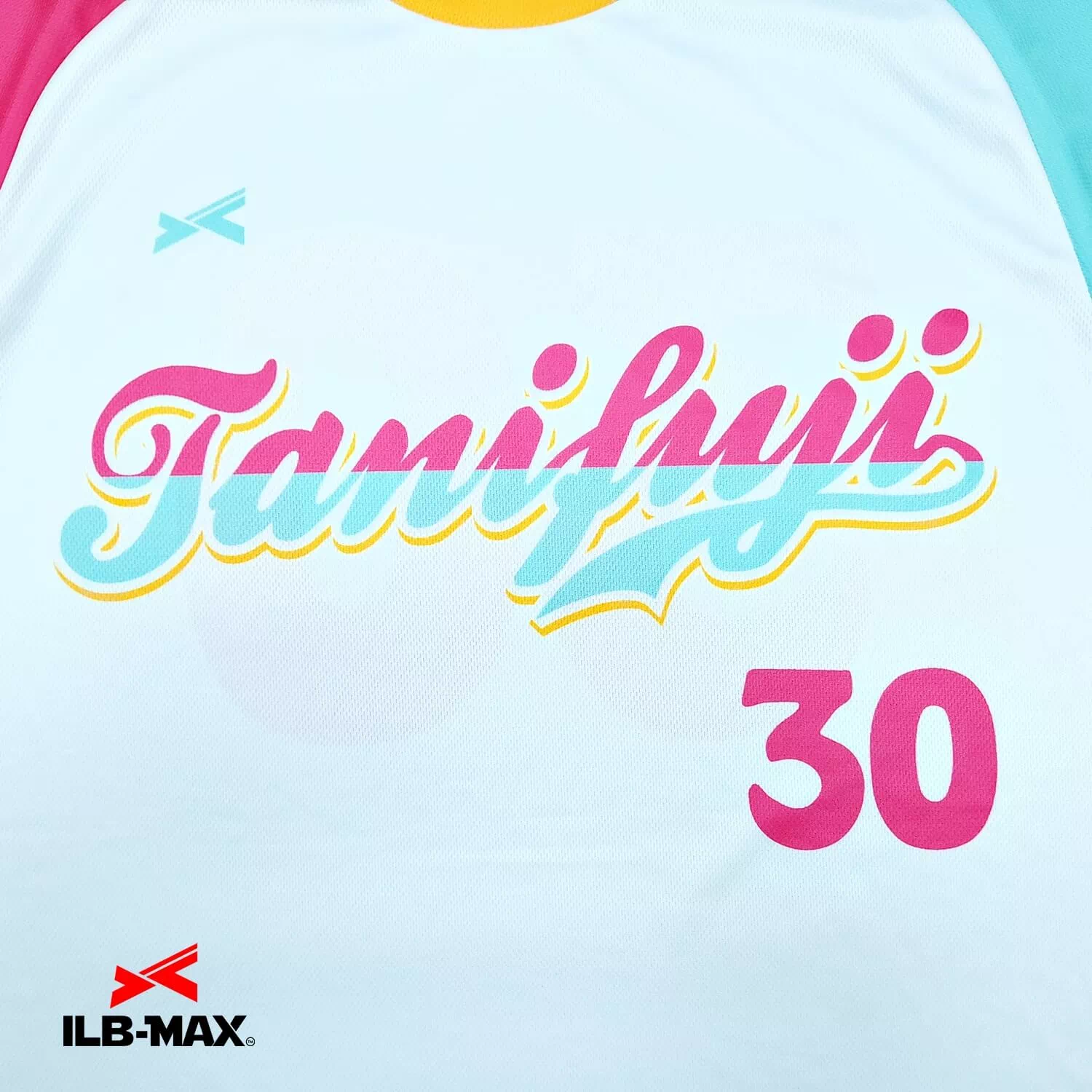 TANIFUJI_ST1