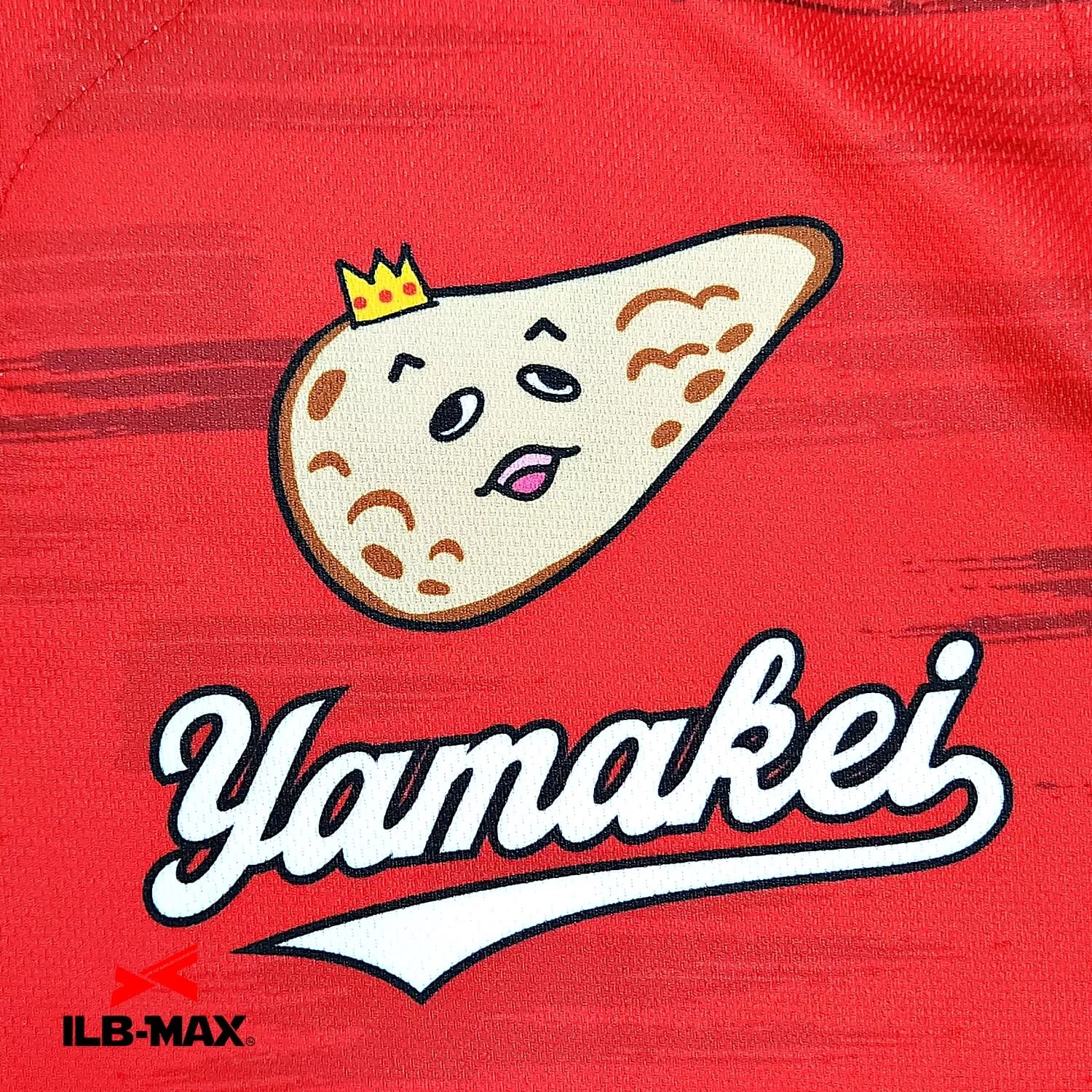 Yamakei_1st2