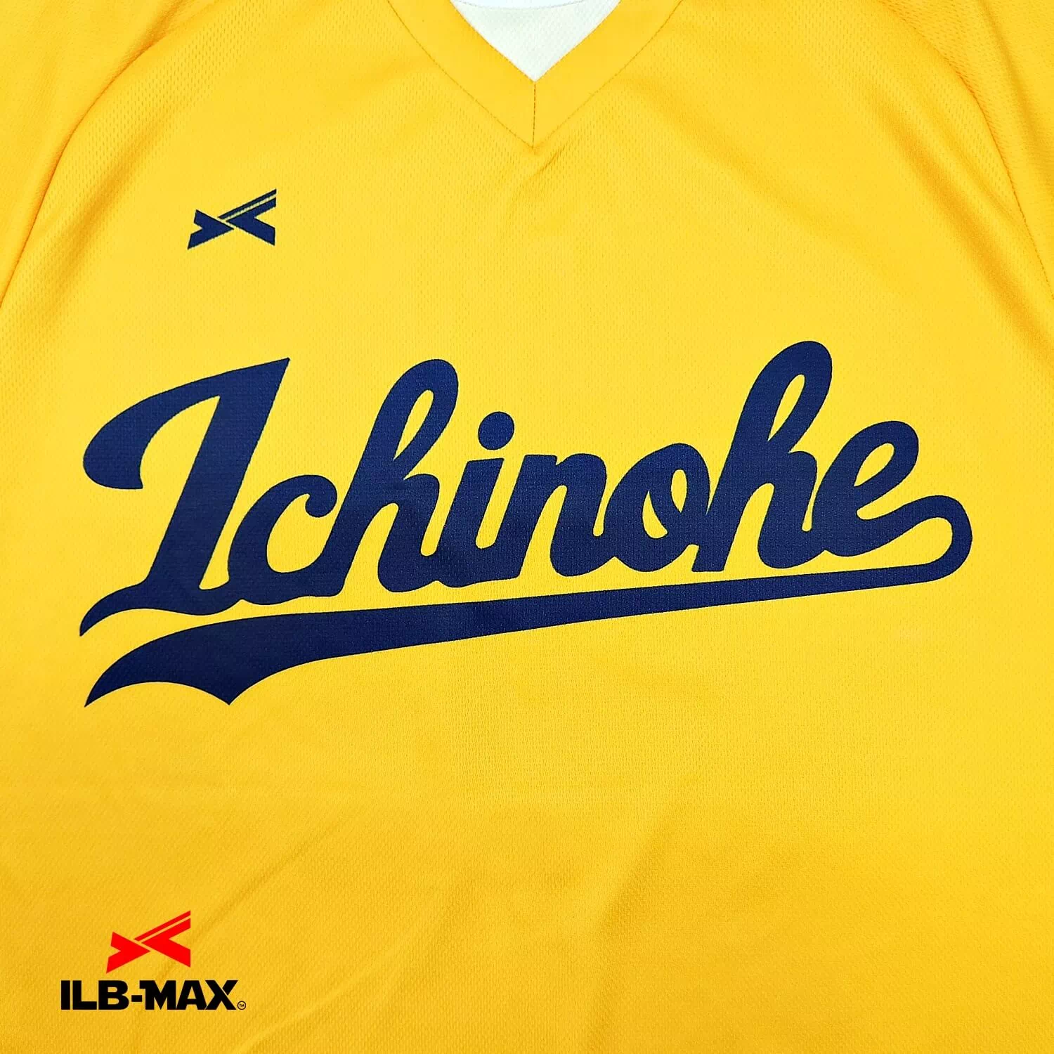 ichinohe_1st1