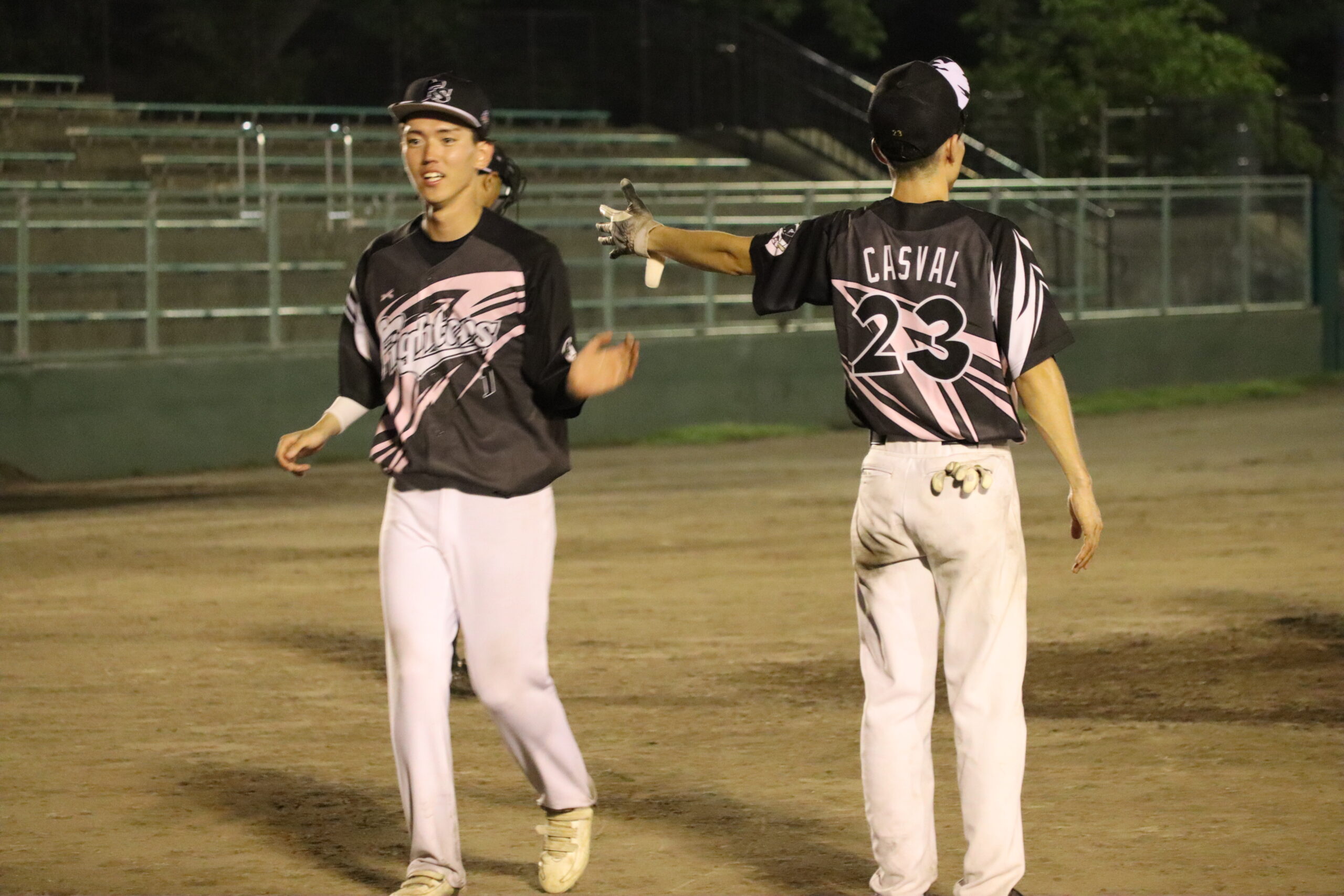 NIIGATA Fighters (3)