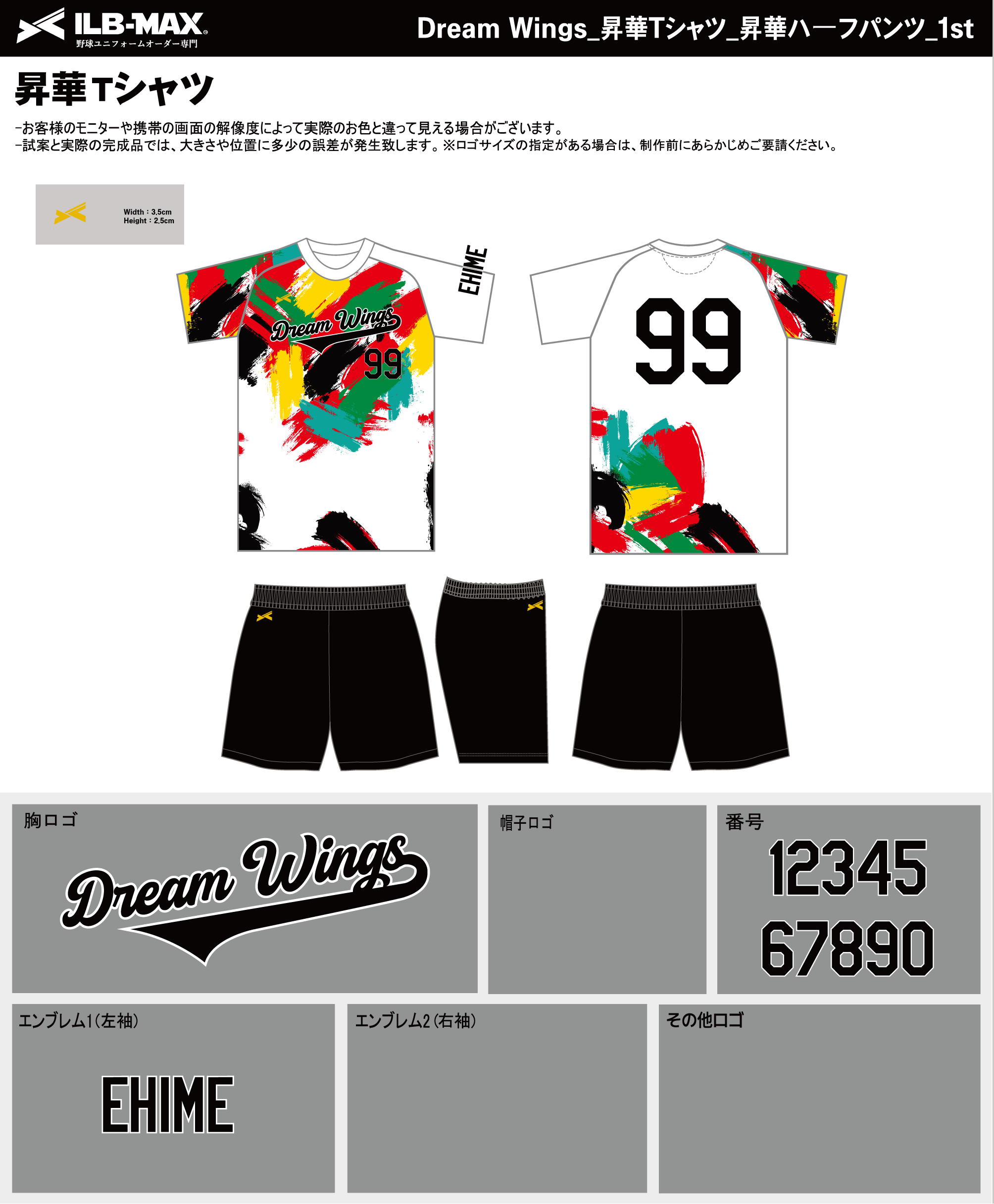 260731_Dream Wings_昇華Tシャツ1st追加_昇華ハーフパンツ1st追加_野球
