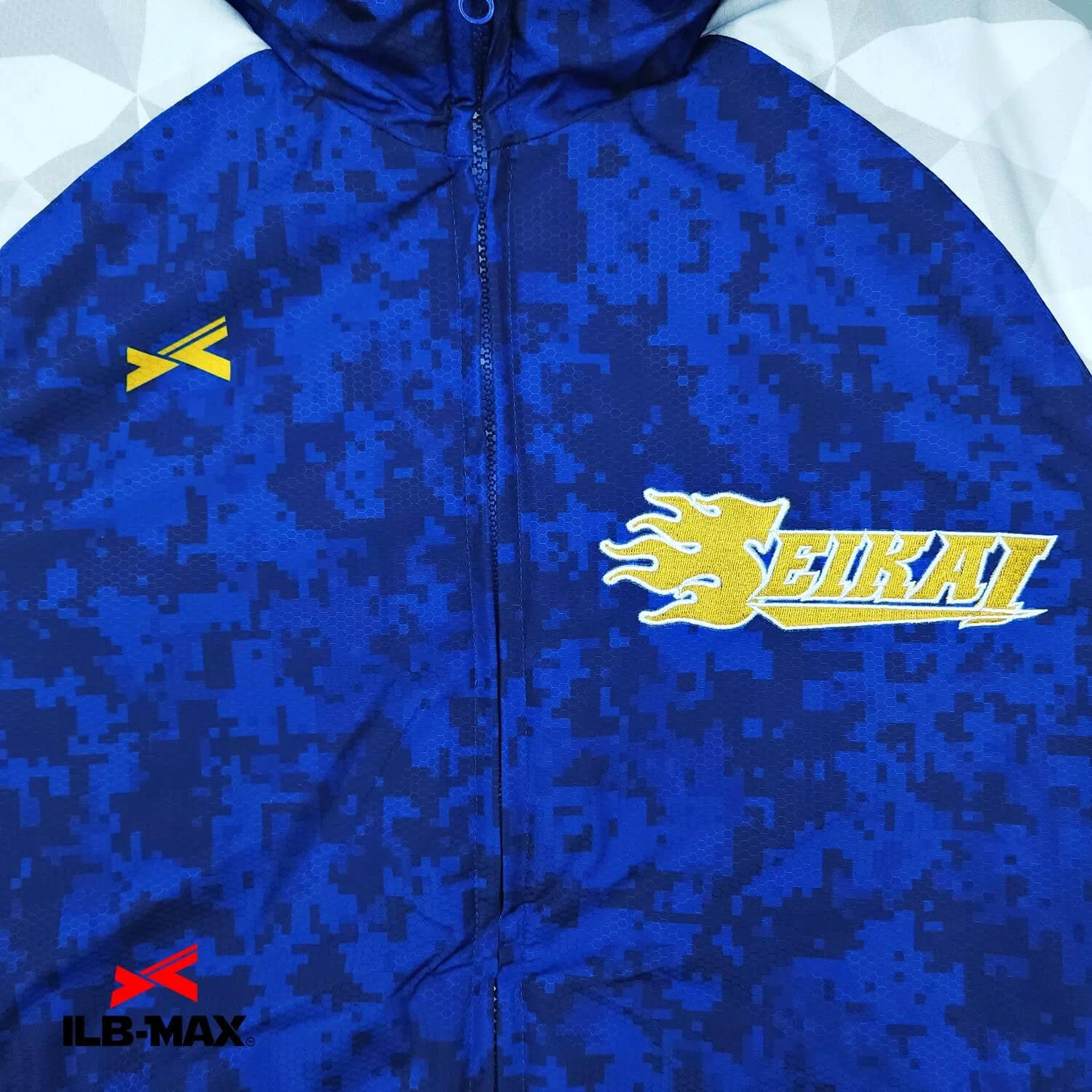 KUMAMOTO Seikai_JP1