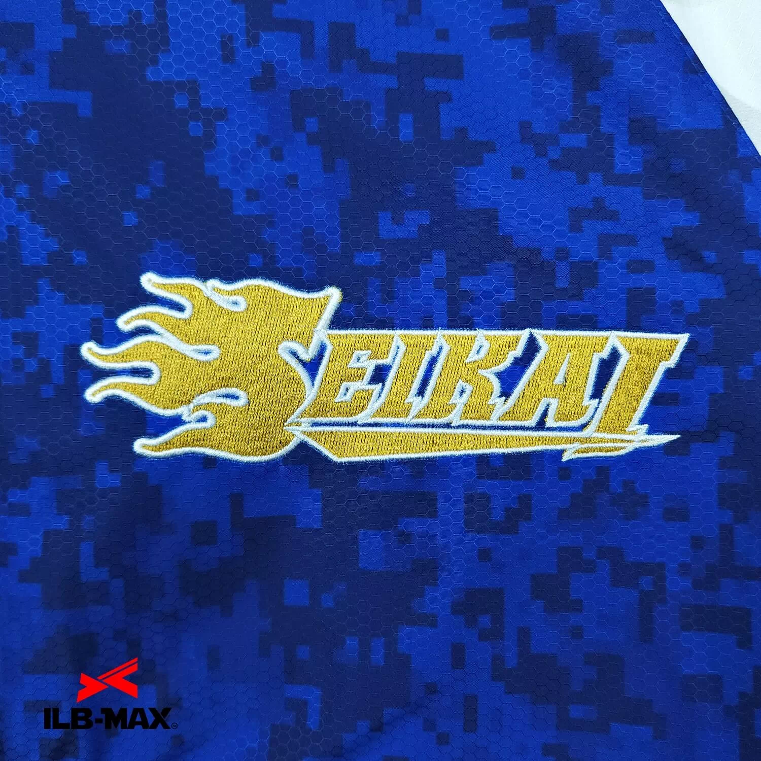 KUMAMOTO Seikai_JP2