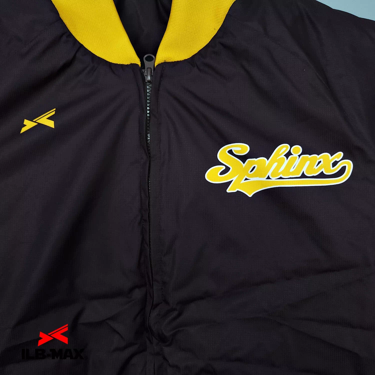 Sphinx_JP1