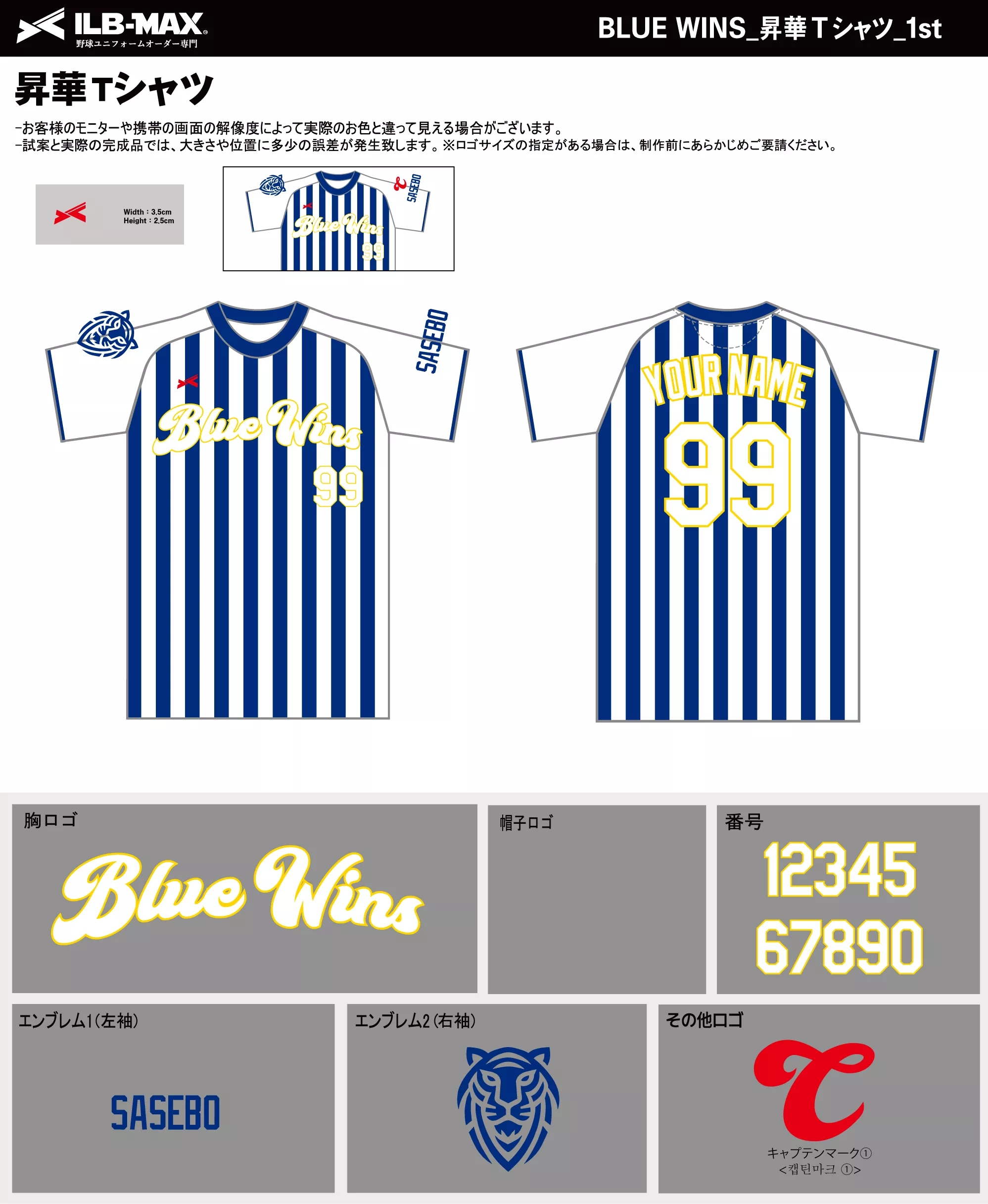 野球 ユニフォーム デザイン_BLUE WINS_1st_ST.webp