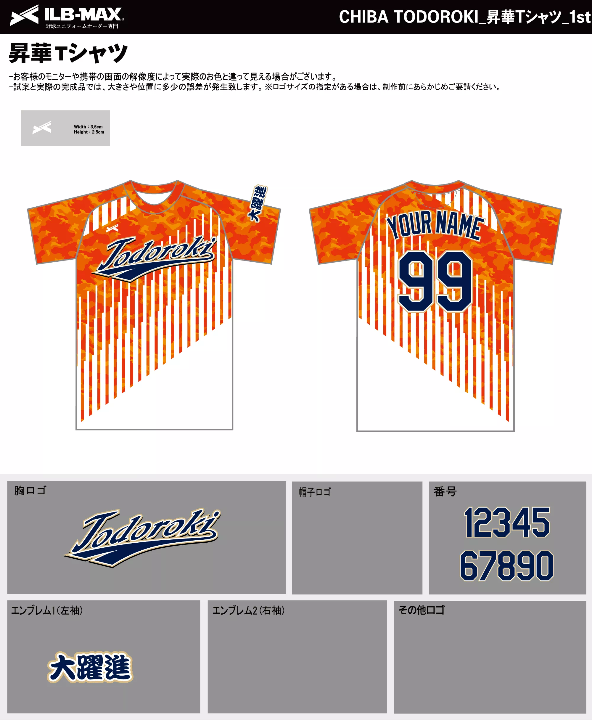 野球 ユニフォーム デザイン_CHIBA TODOROKI_1st_ST.webp