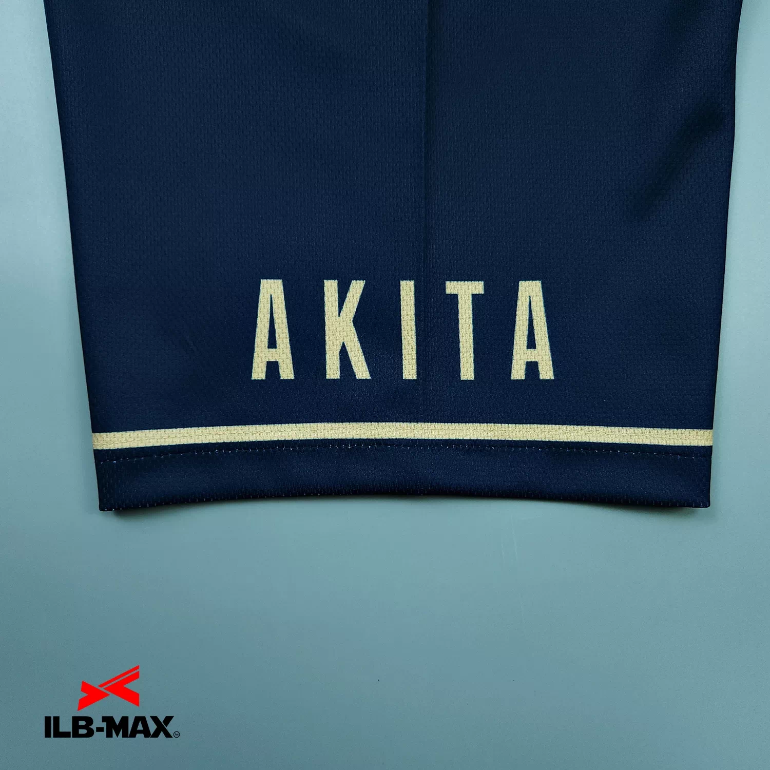AKITA SFIDA_1st4