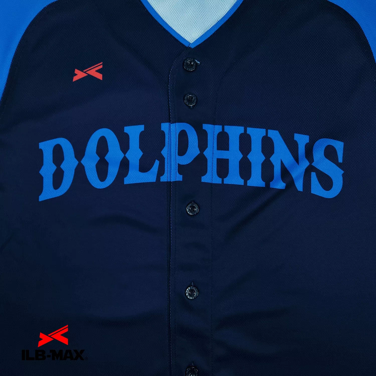 ATRASC Dolphins_1st3