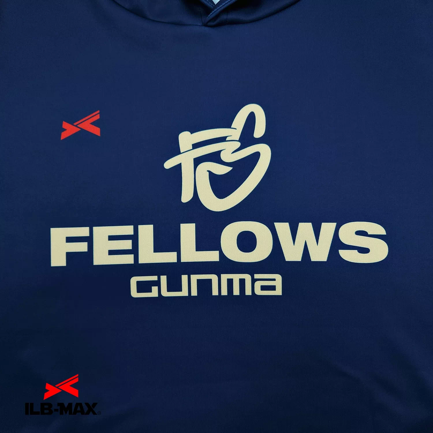Akutsu Fellows_1st_PV1