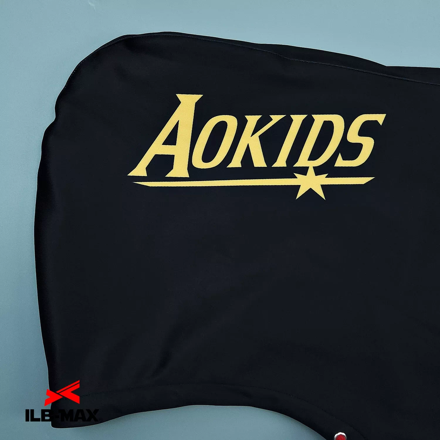 Aokids_1st_PV5