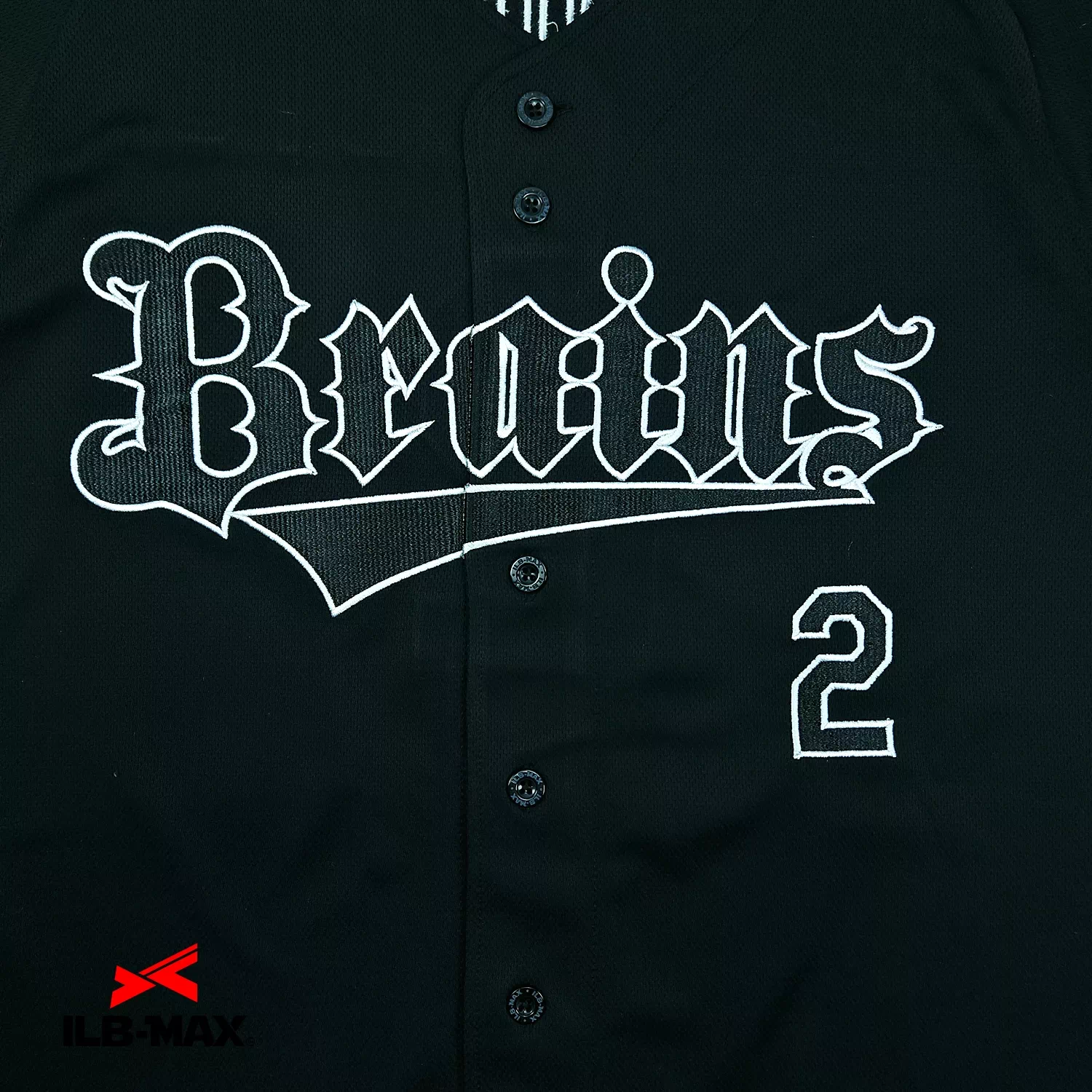 BRAINS_1st3