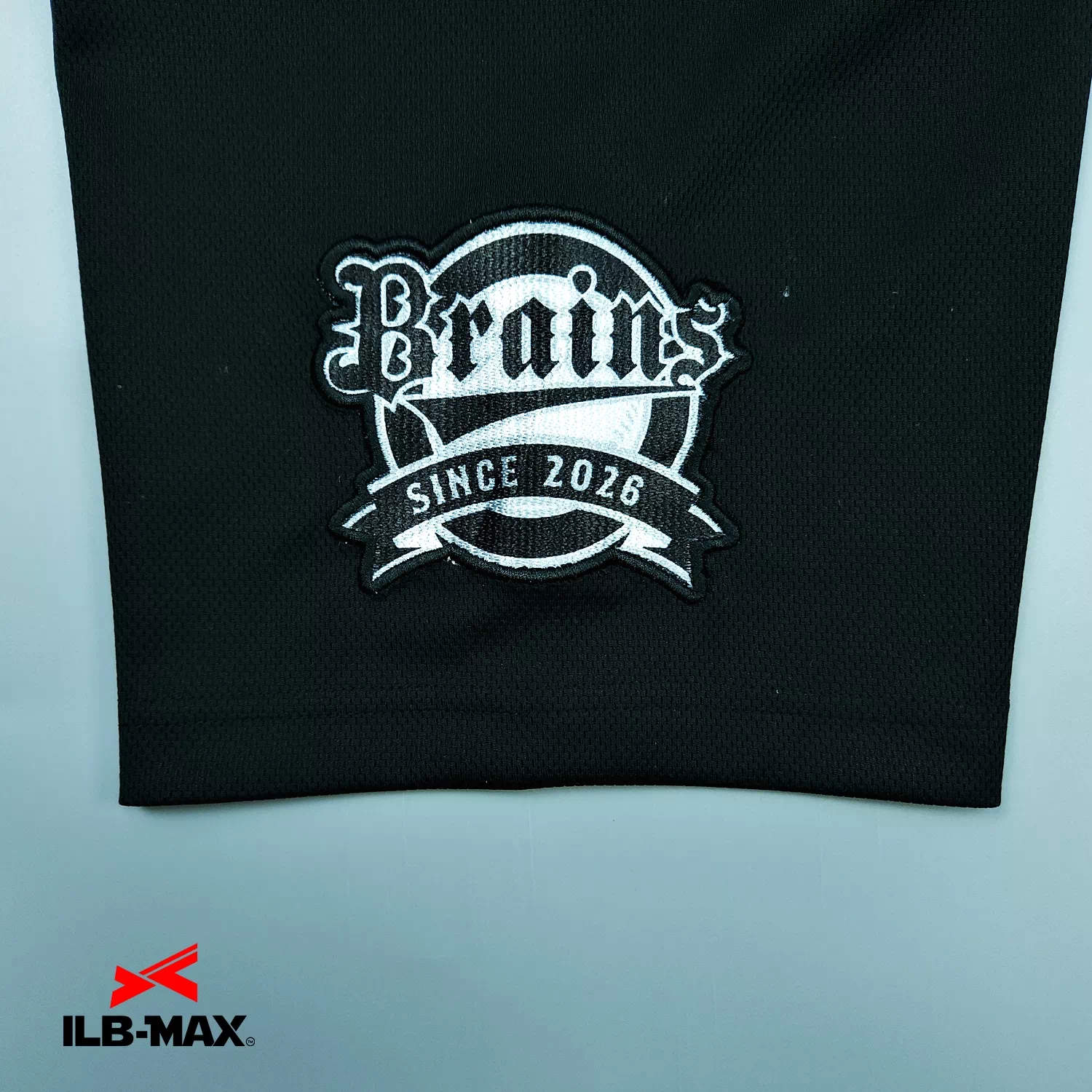 BRAINS_1st5