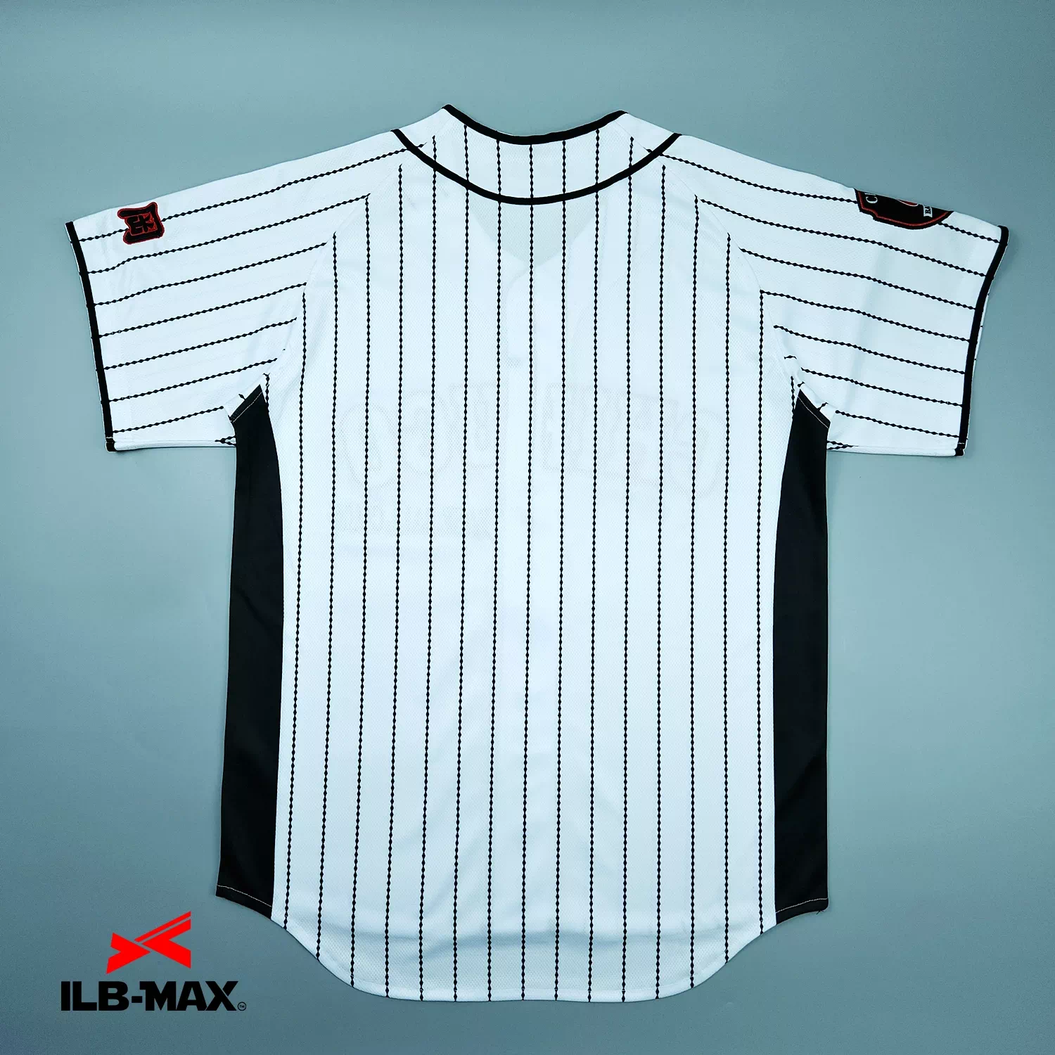CHIKUGO BASEBALL_2nd5
