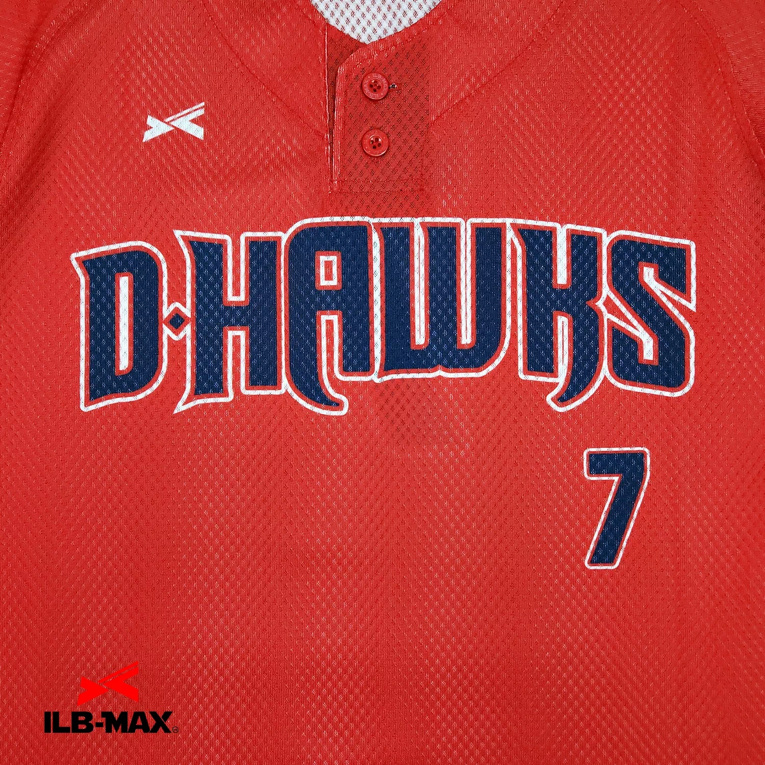 D HAWKS_1st1