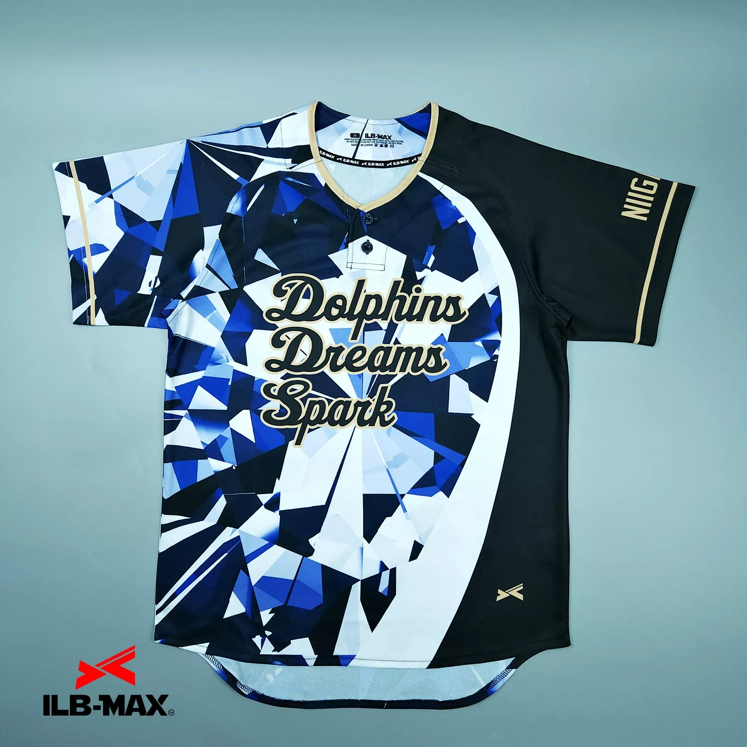 Dolphins Dreams Spark_1st1