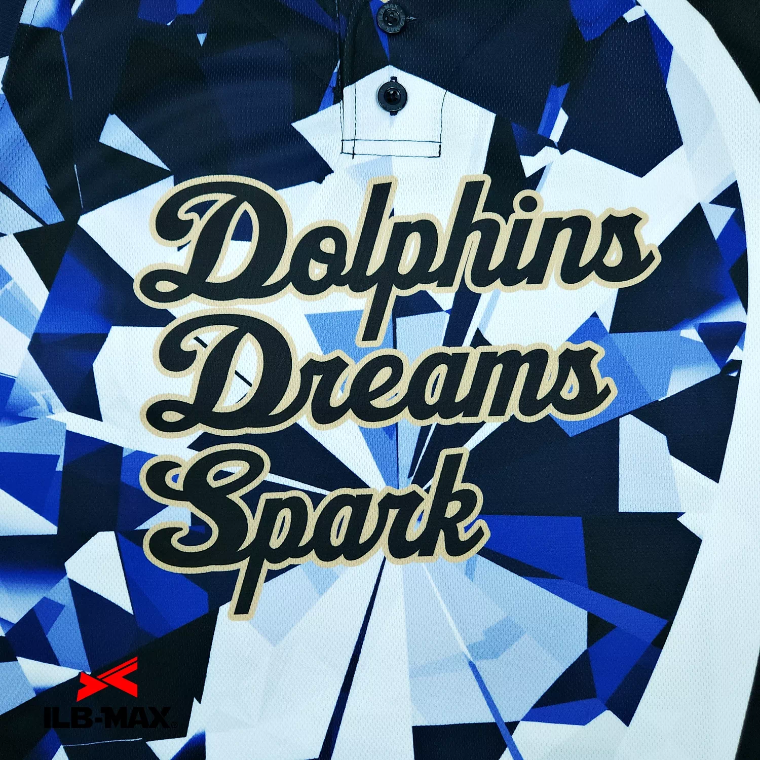 Dolphins Dreams Spark_1st2