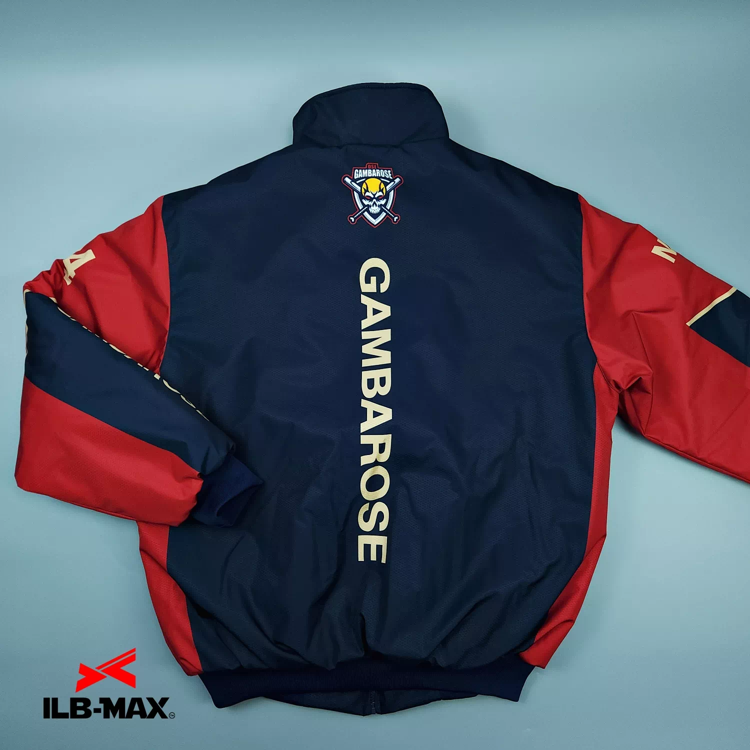 GAMBAROZE_1st_JP5