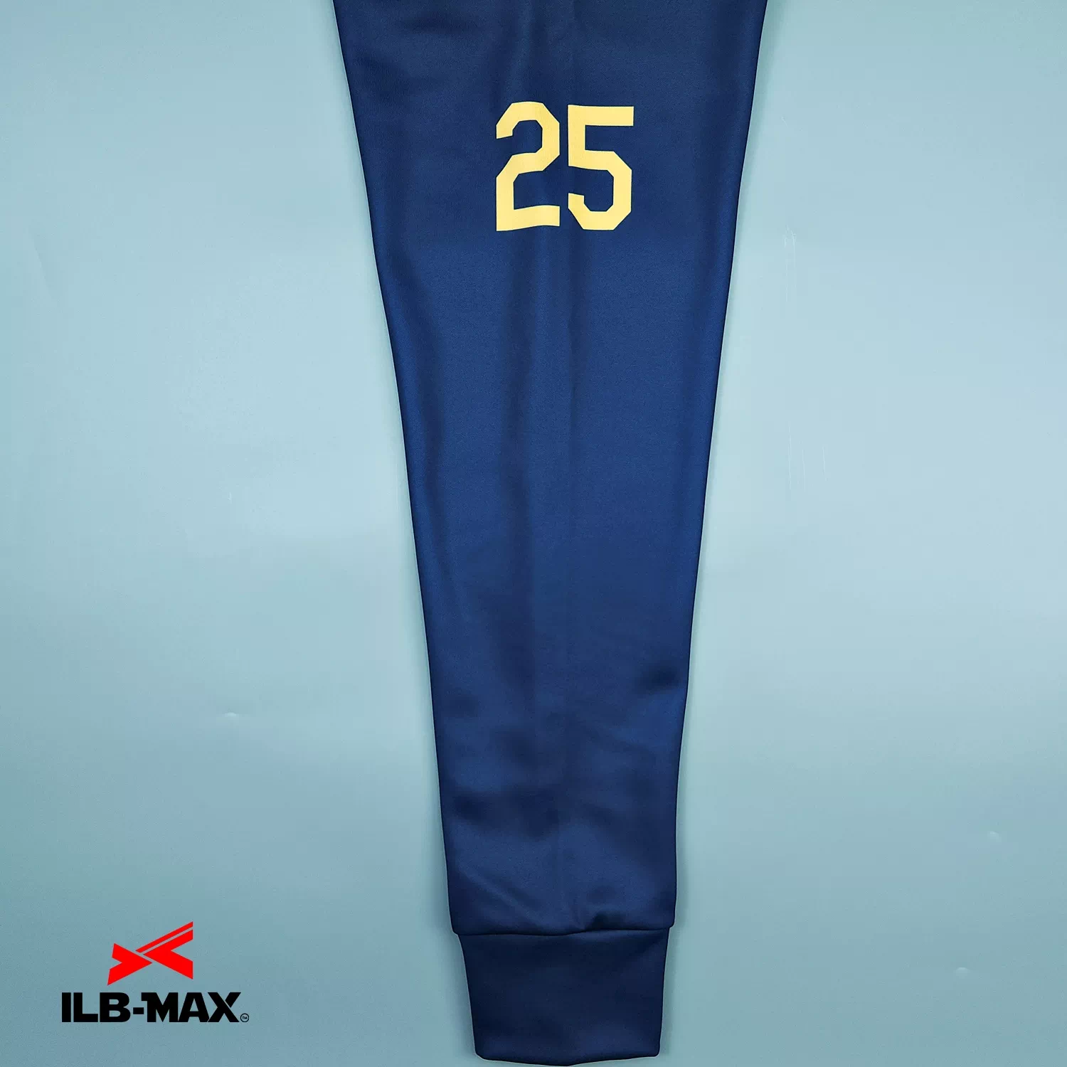 HACHIYA RAYS_1st_PV2