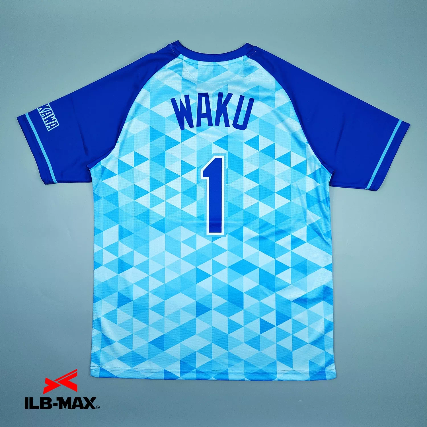 HAMAKAWA Dolphins_1st_ST3