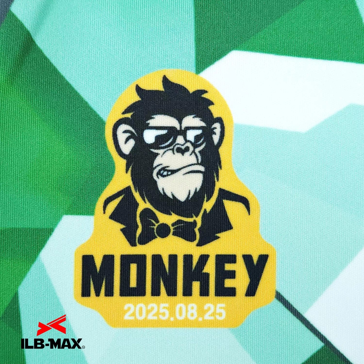 HAYAMA MONKEYS_1st_PV2