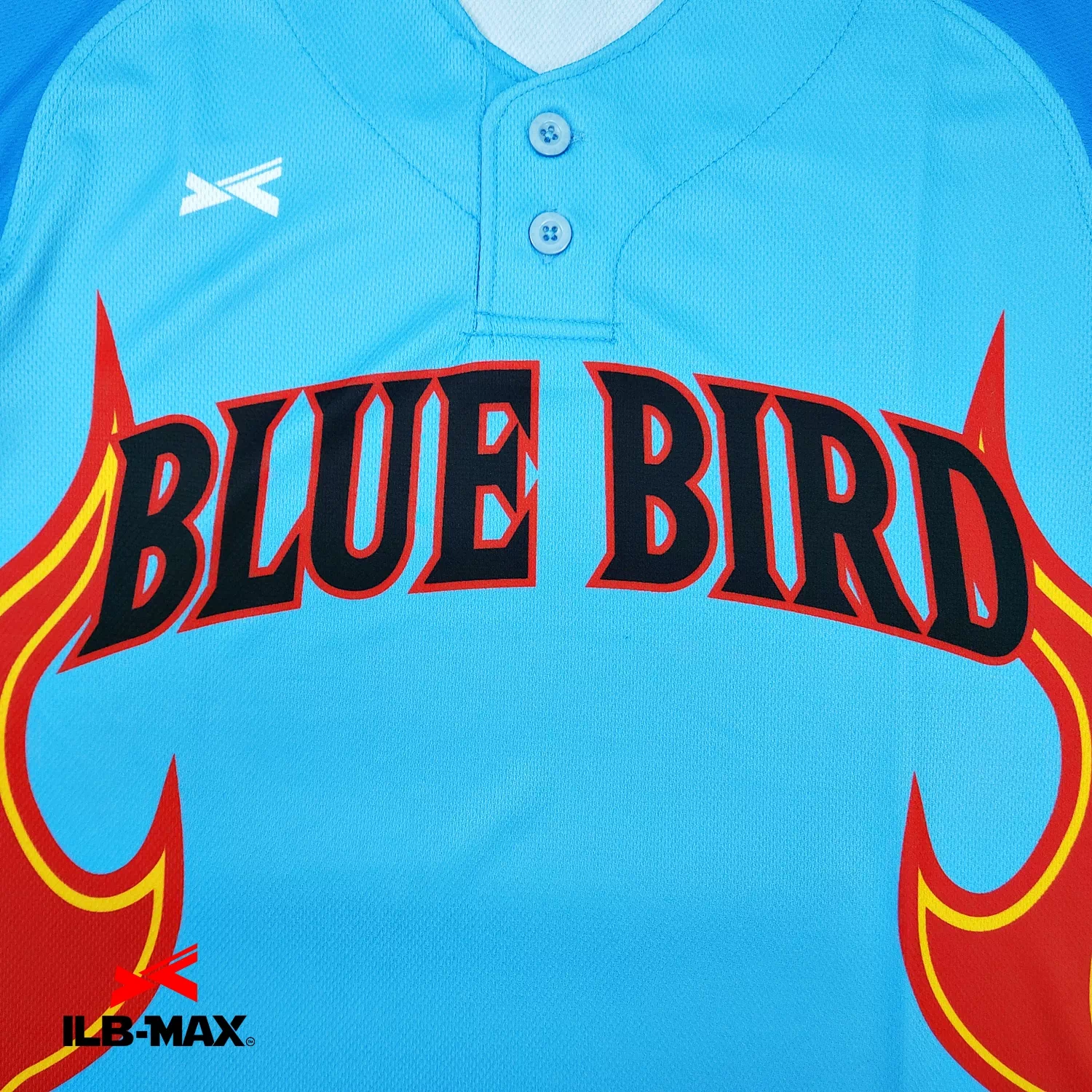 HIROSHIMA BLUE BIRD_1st1