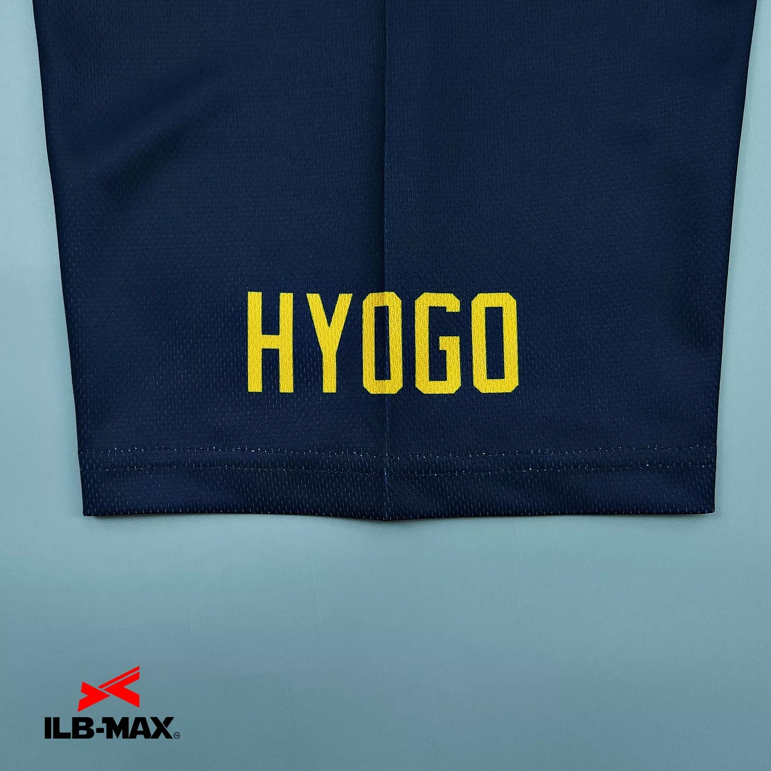 HYOGO Service_1st3