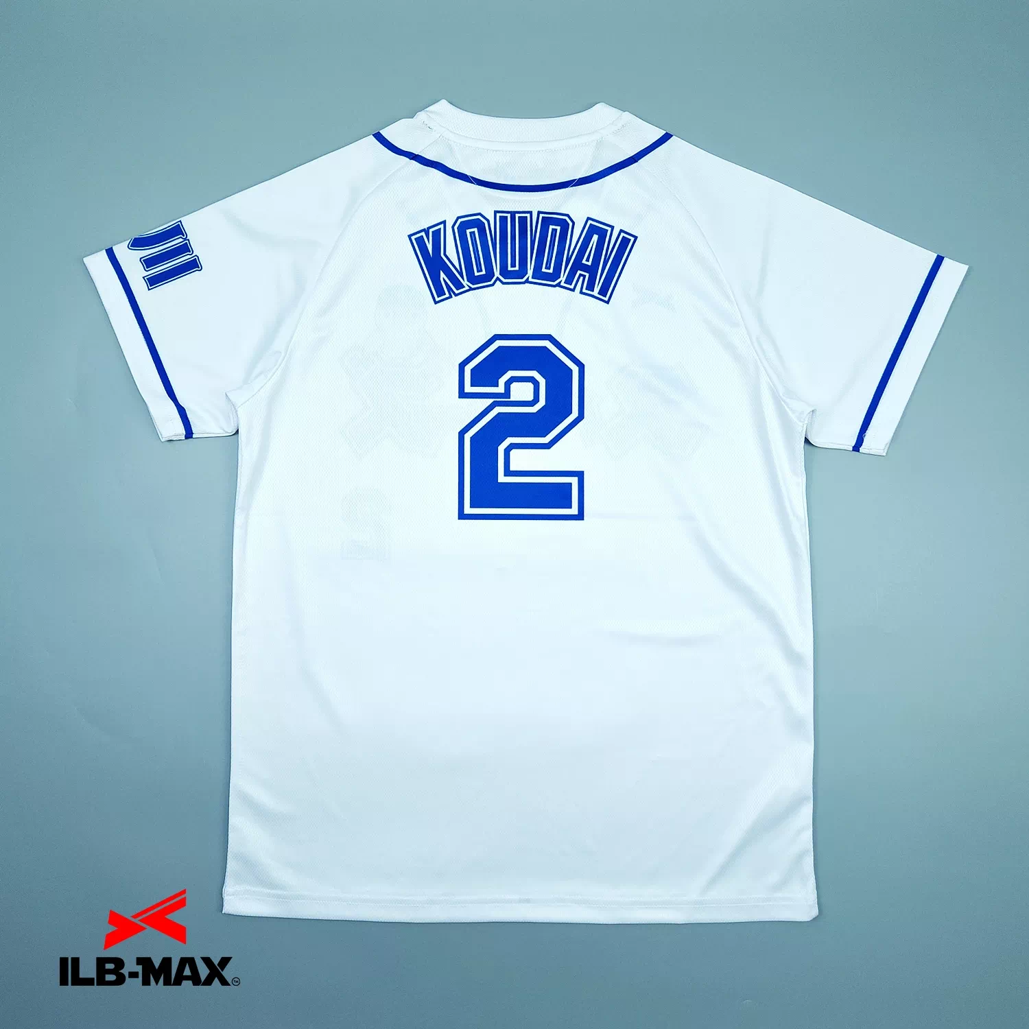 ICHIKAWAMINAMI Sparrows_1st_ST3