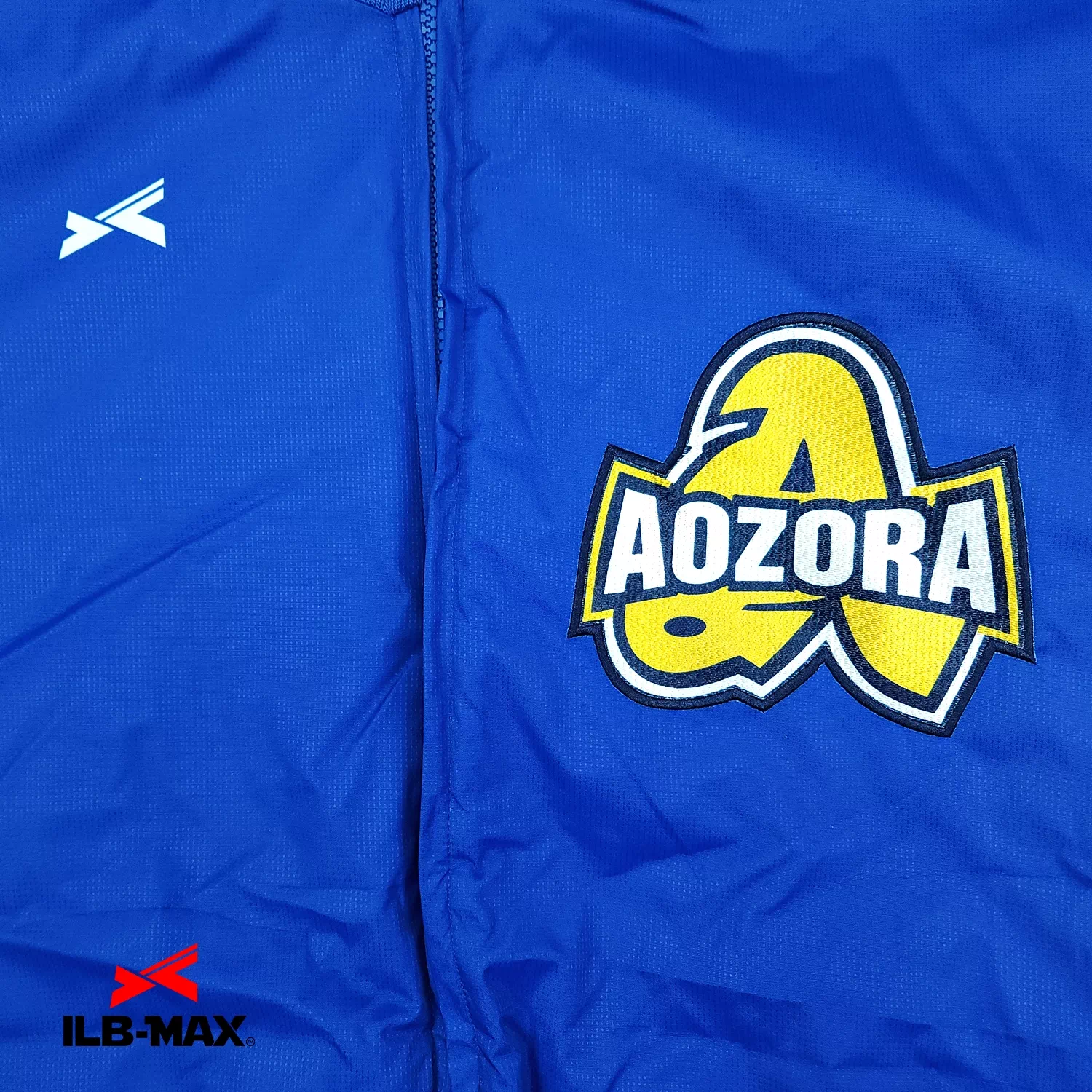 KANAGAWA AOZORA_1st_JP1