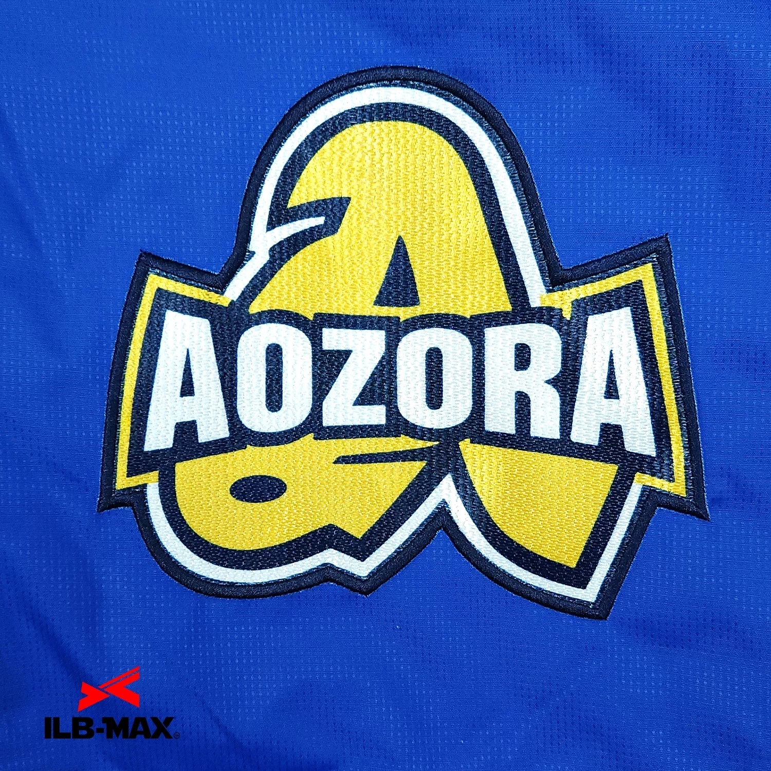 KANAGAWA AOZORA_1st_JP2