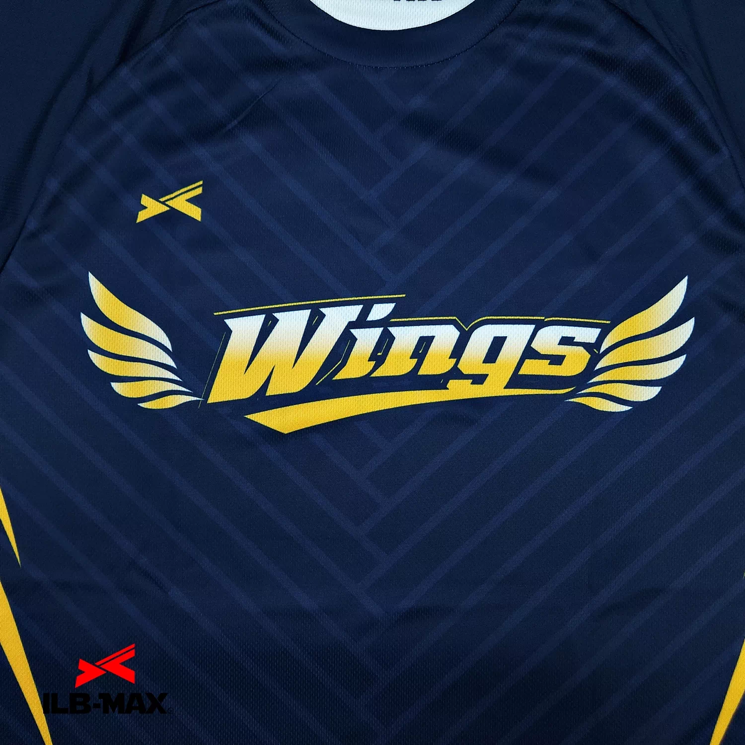 KANAZAWA Wings_ST1