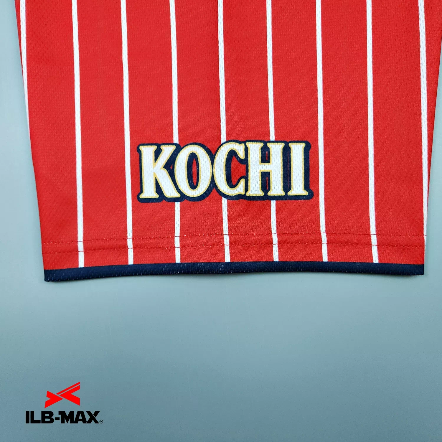 KOCHI JAPAN_1st3