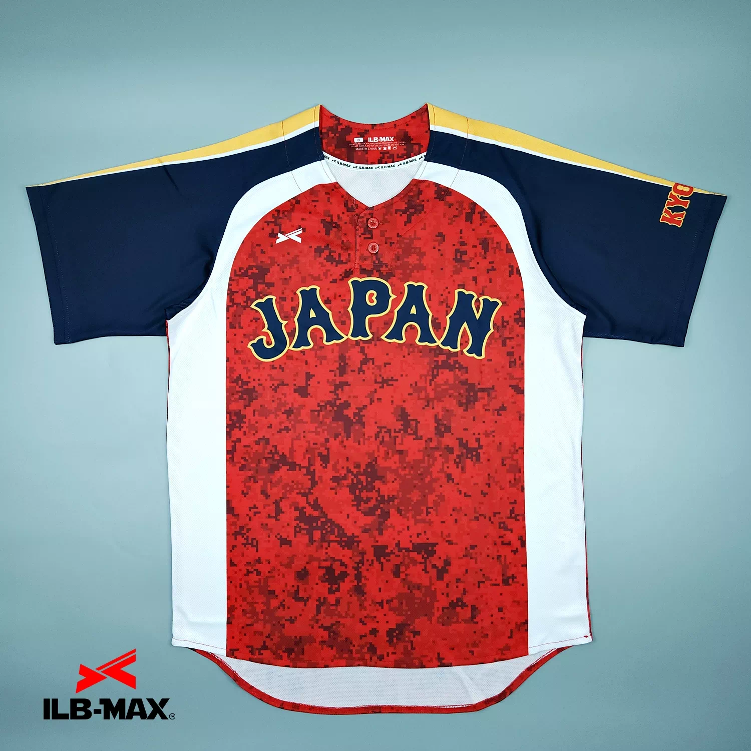 KYOTO JAPAN_1st1