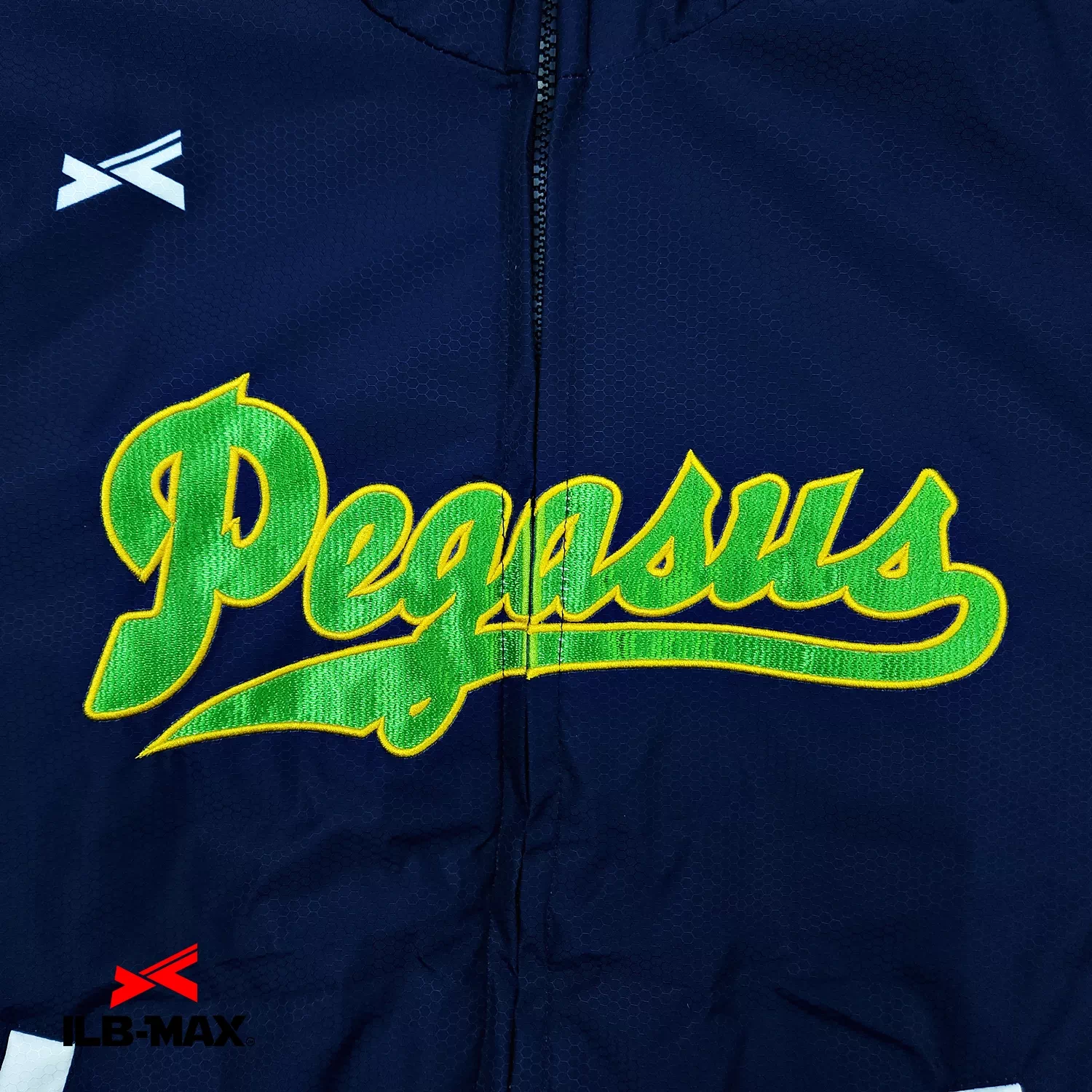 MEGURO Pegasus_1st_JP1