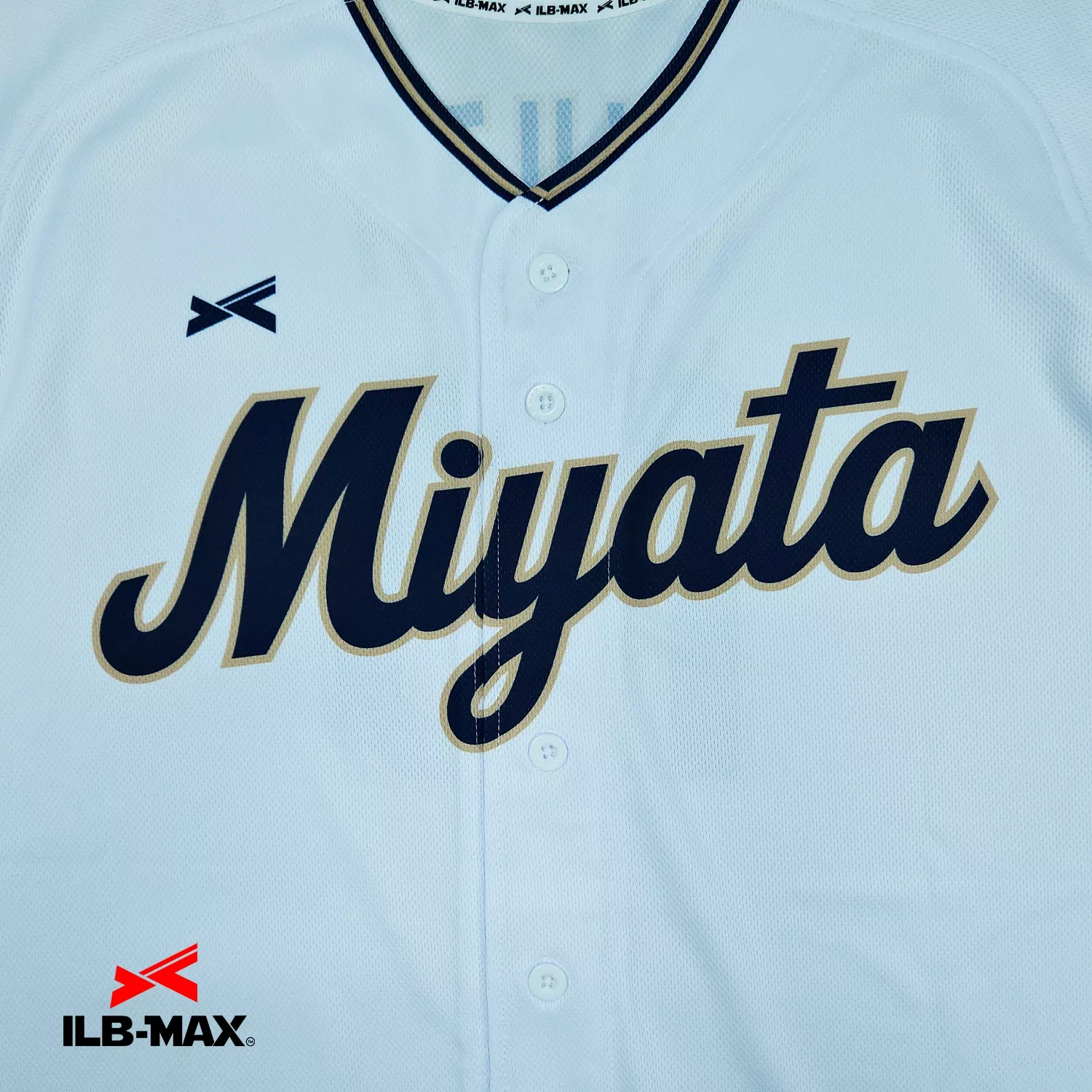 MIYATA family_1st1