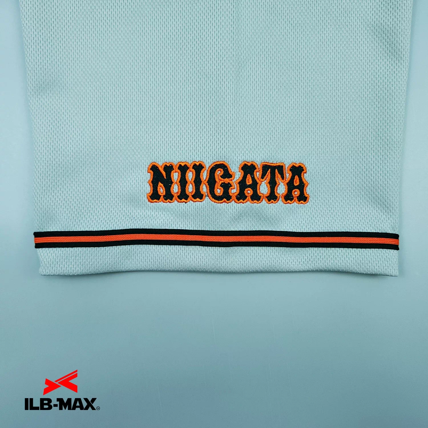 NIIGATA MARINE_1st3