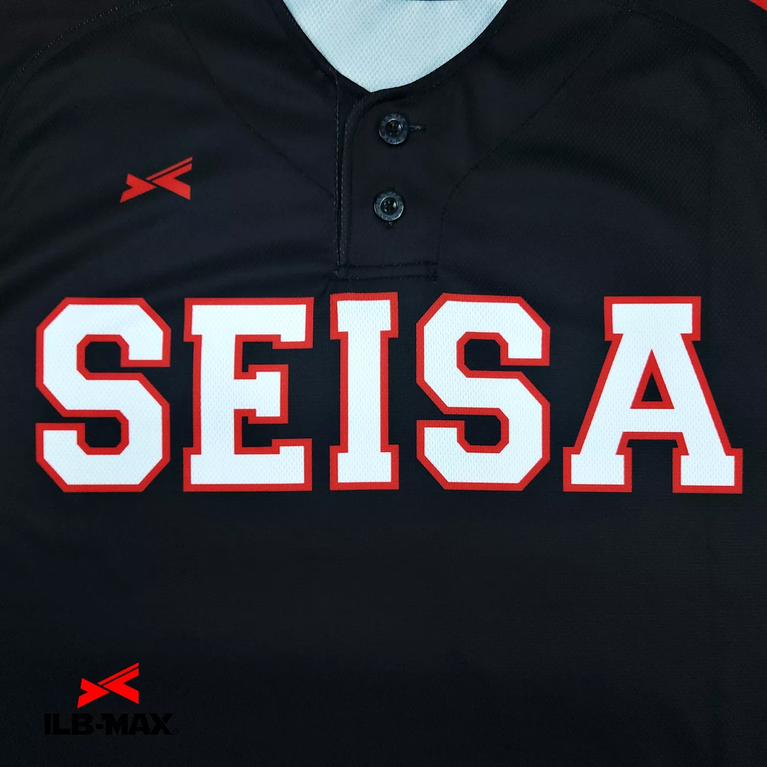 SEISA_1st1