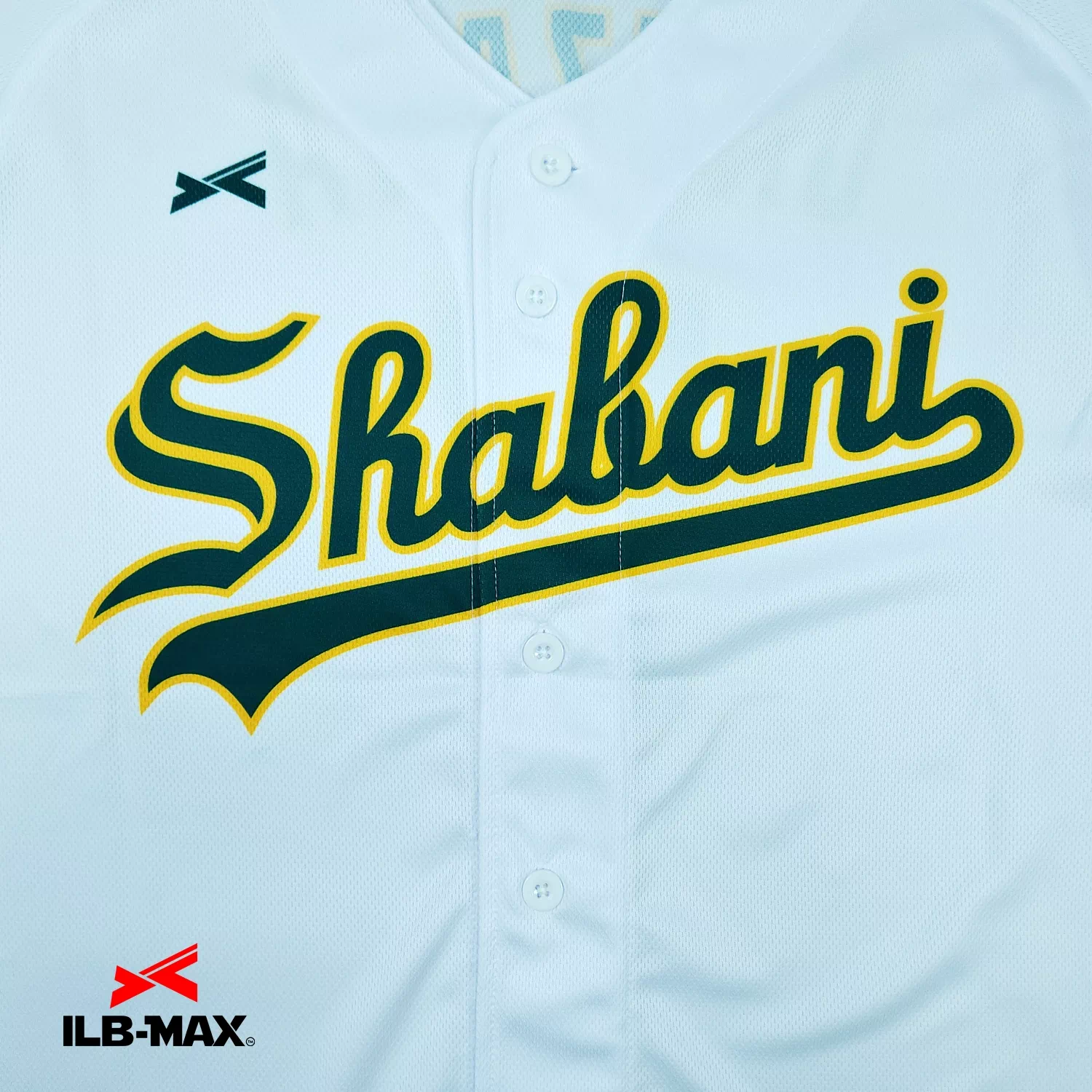 Shabani_1st2