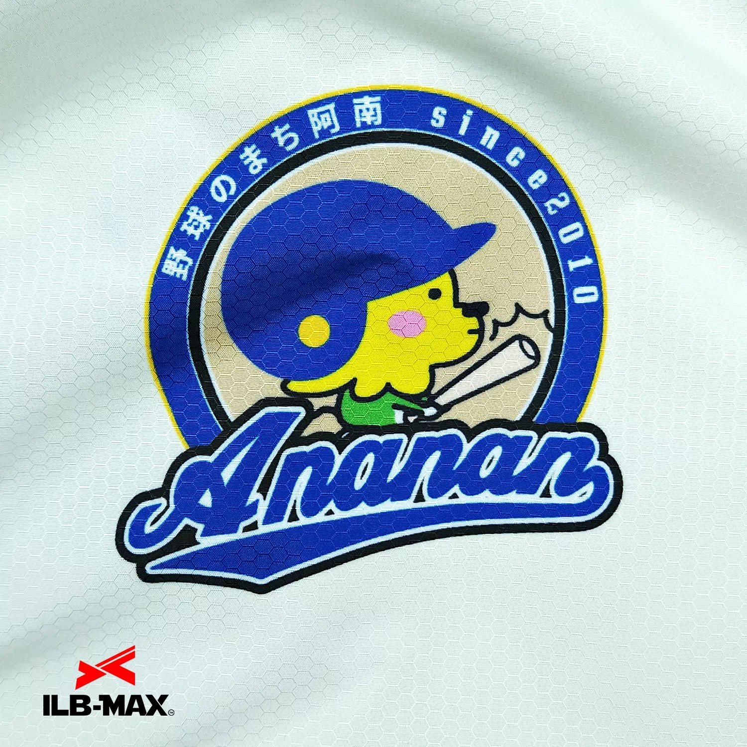 TOKUSHIMA Baseball City Anan_1st_JP3