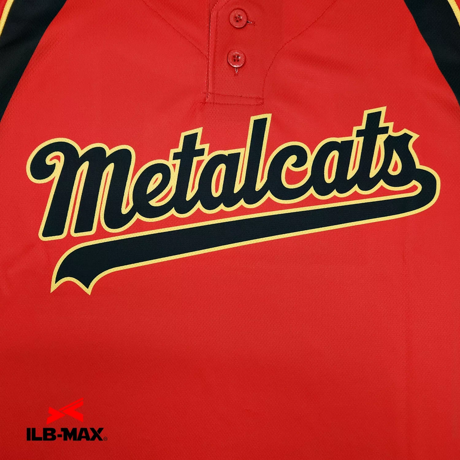 metal cats_1st2