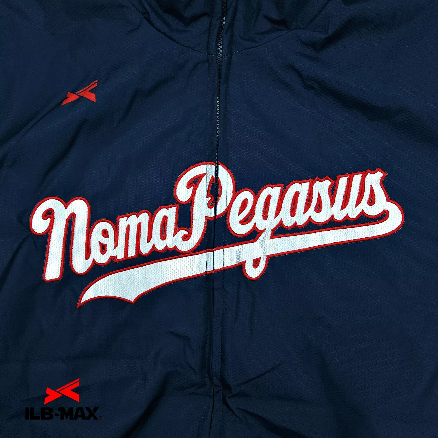 noma Pegasus_1st_JP1
