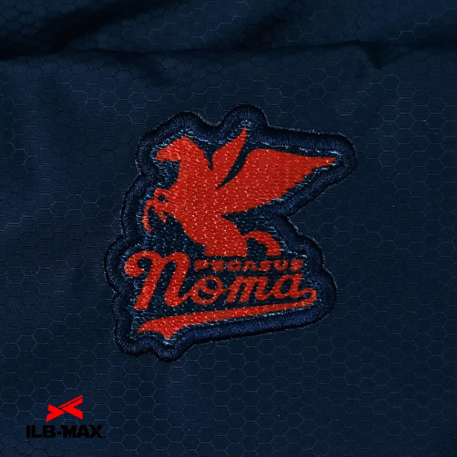noma Pegasus_1st_JP3