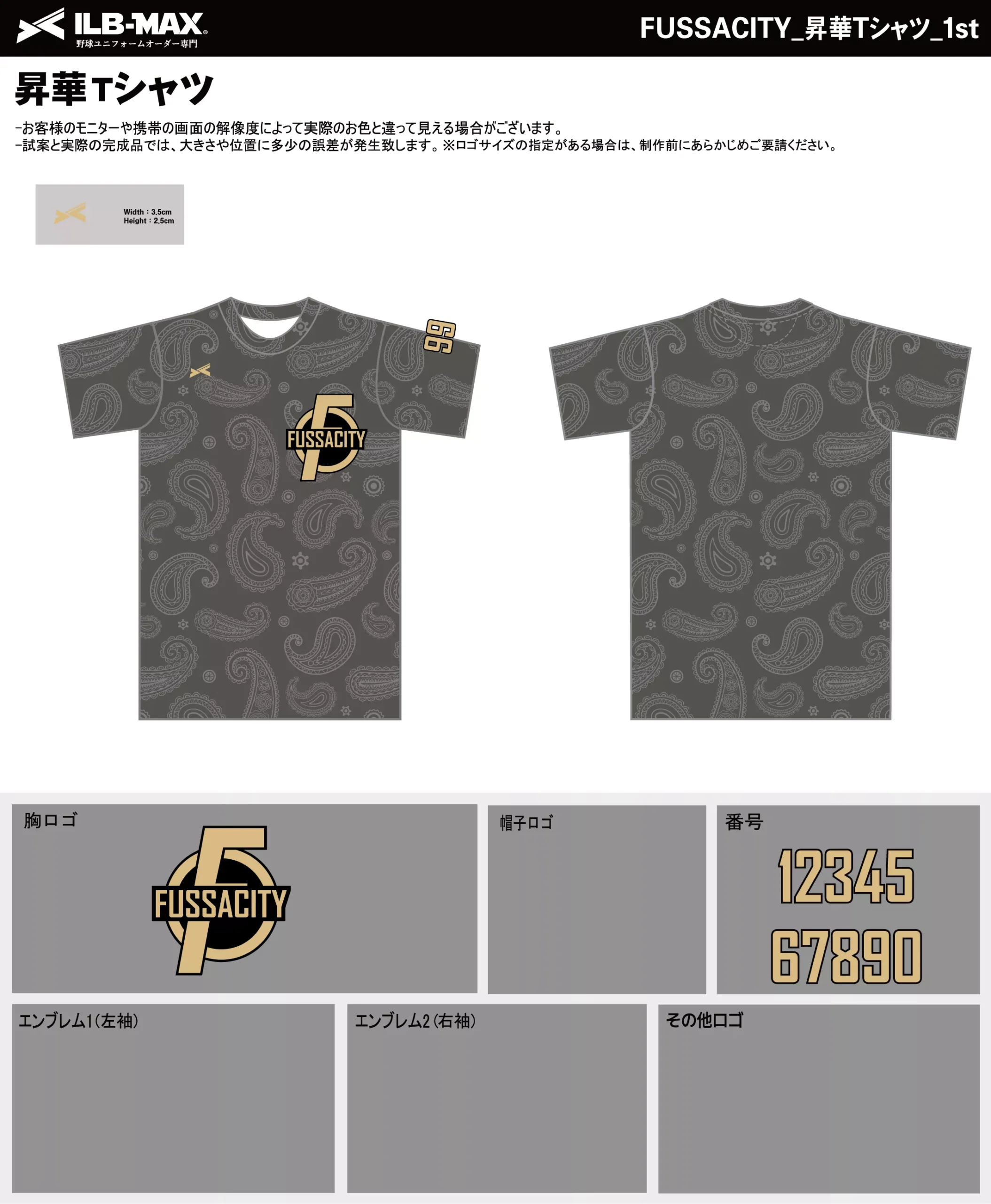 野球 ユニフォーム デザイン_FUSSACITY_1st_ST.webp