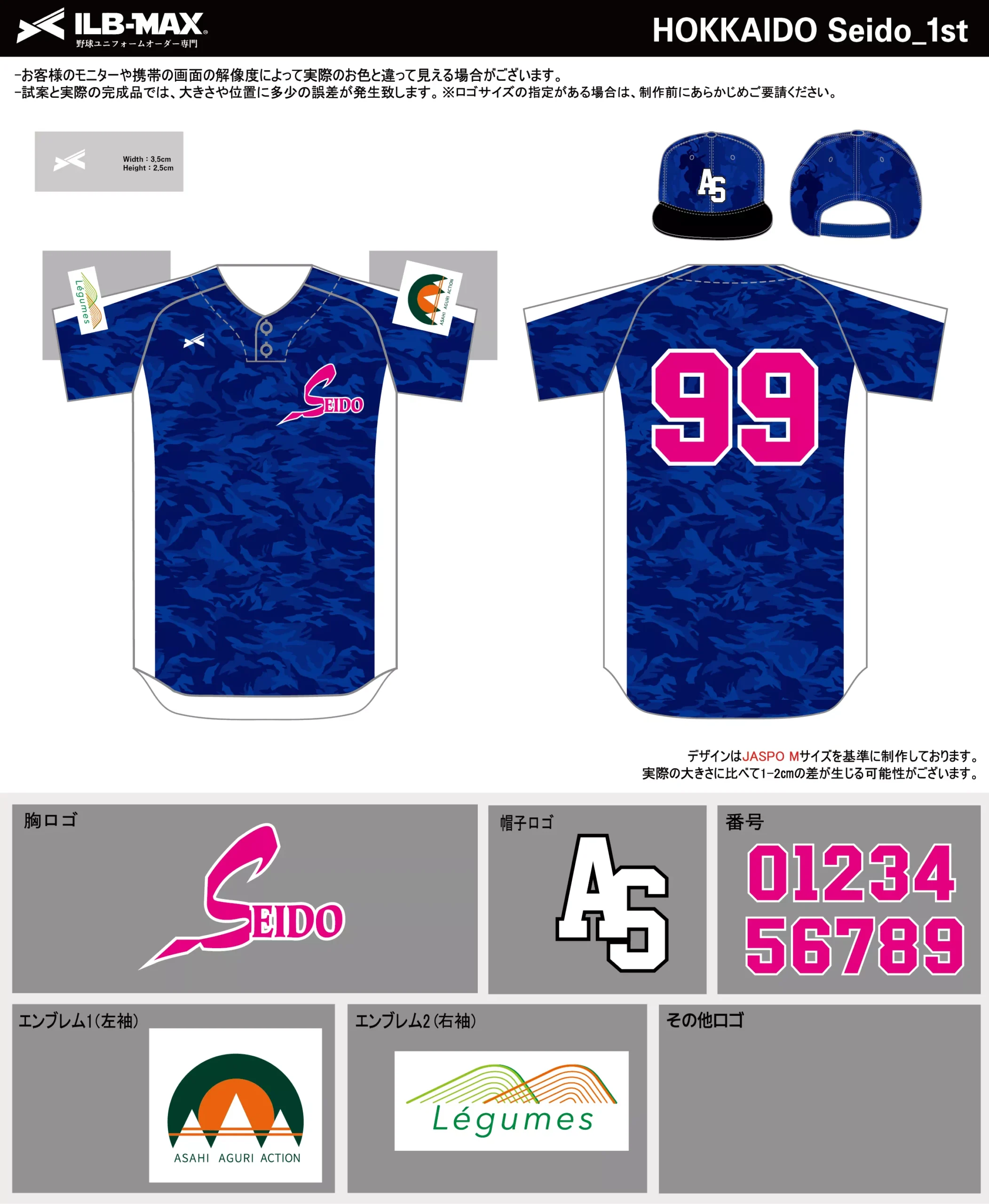 野球 ユニフォーム デザイン_HOKKAIDO Seido_1st.webp
