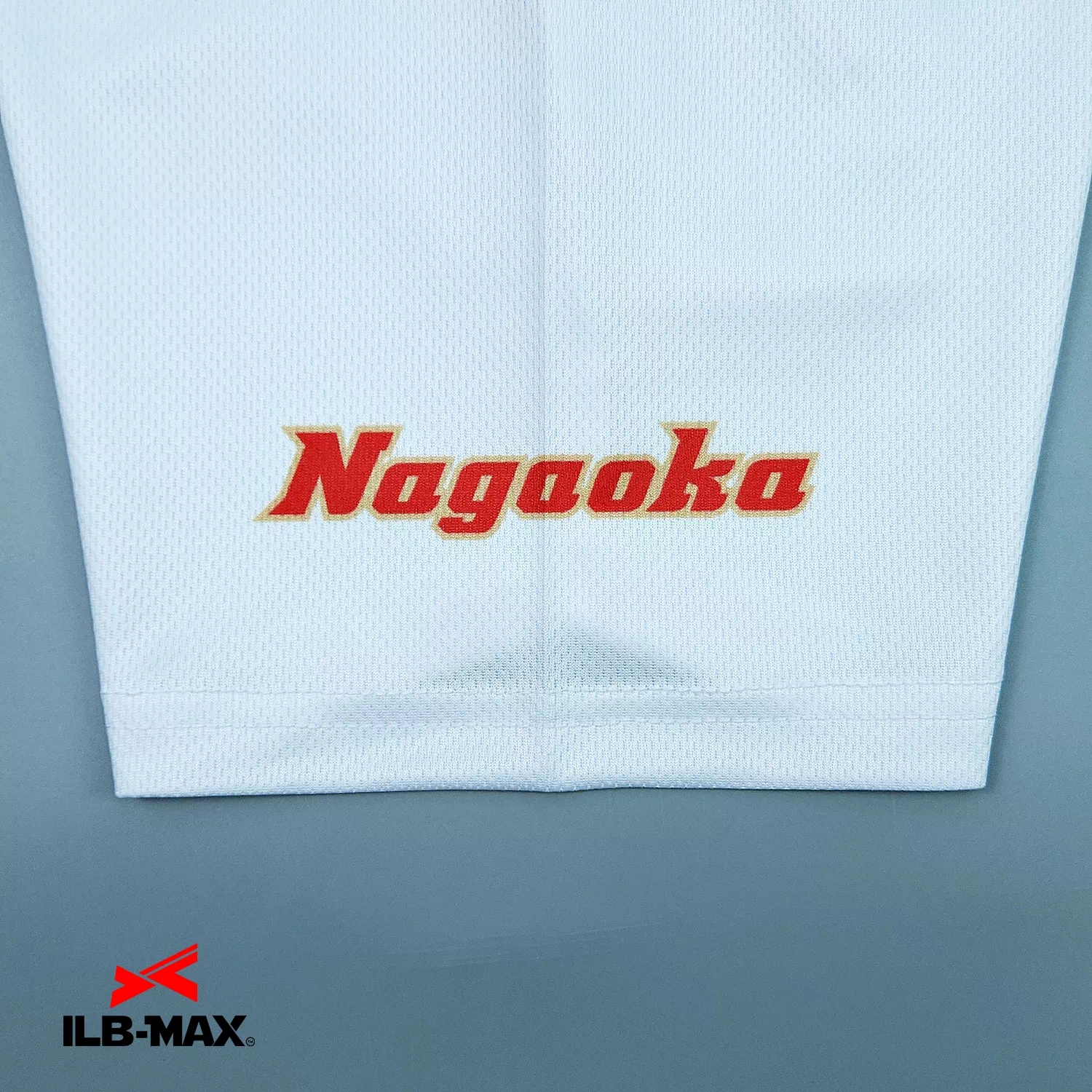 A.M.Ore Nagaoka_2nd_ST2
