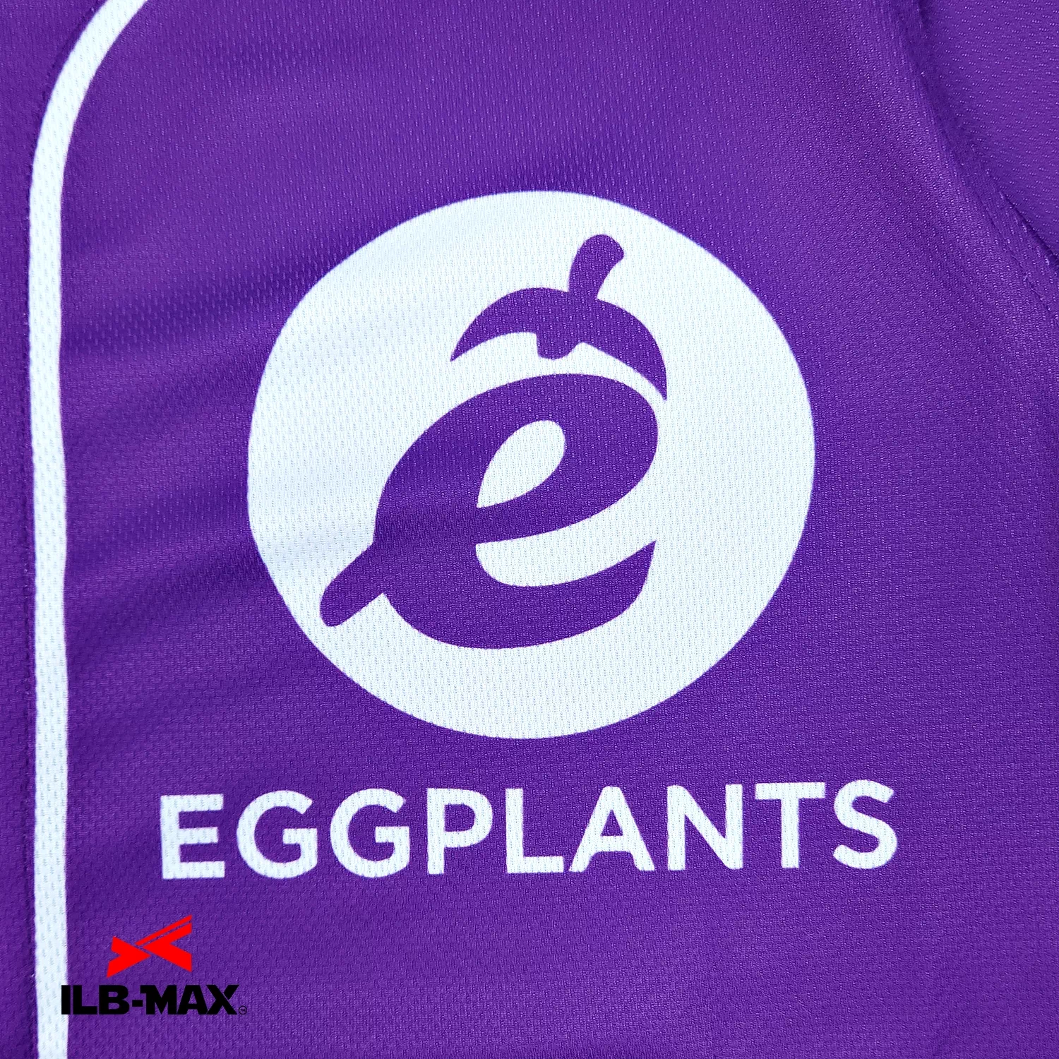 Eggplants_1st3