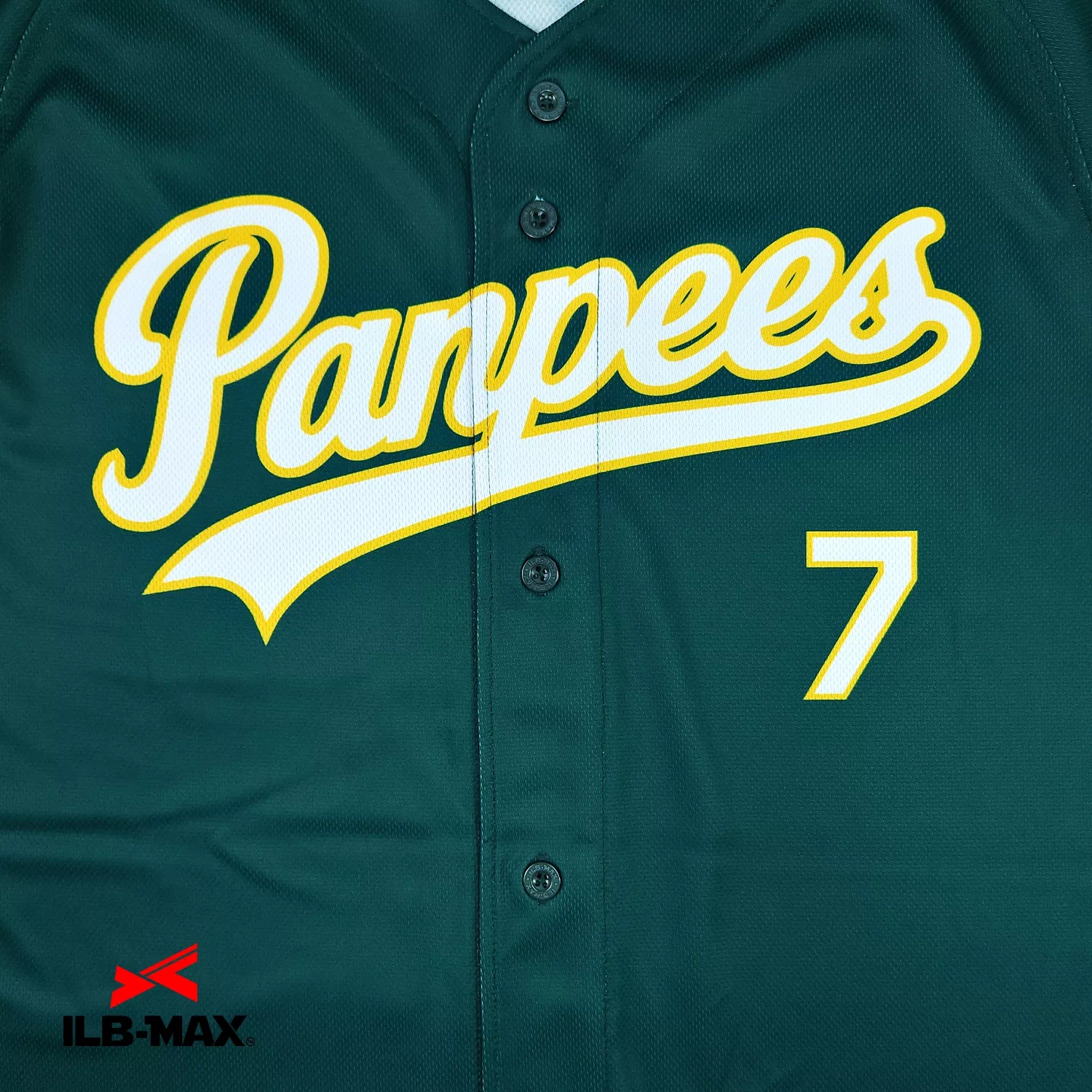 GIFU PANPEES_1st2