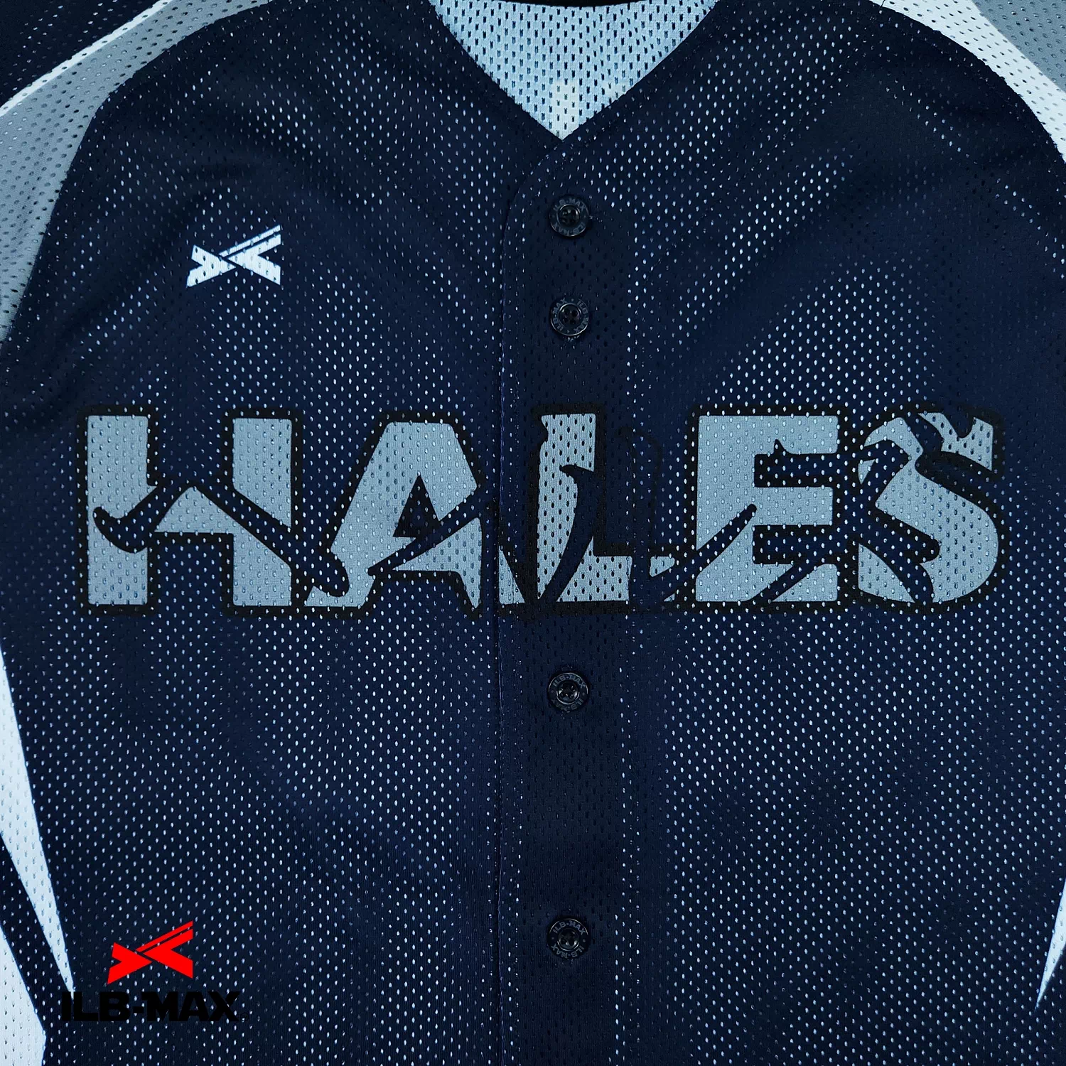 HALES_1st2