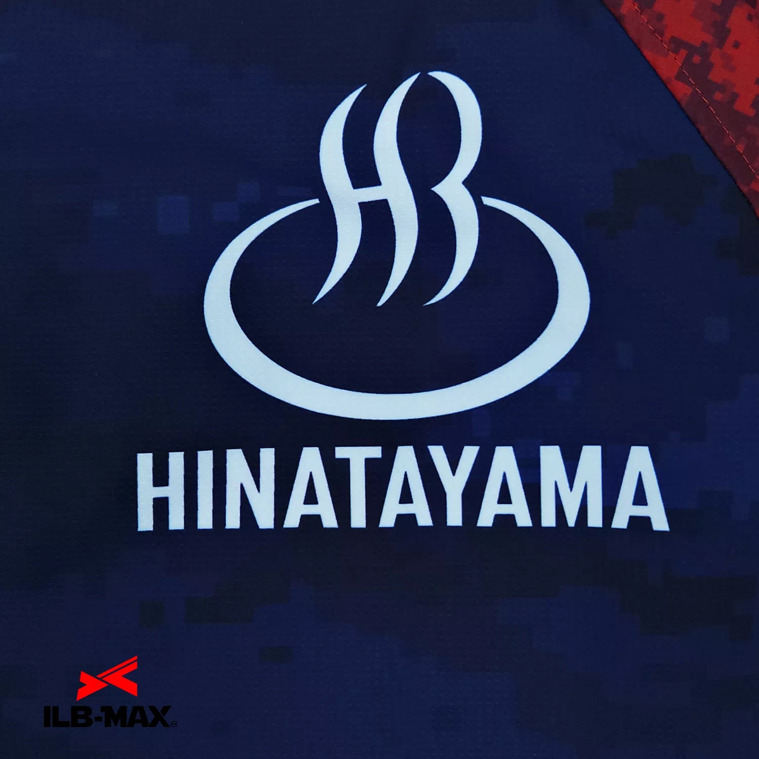 HINATAYAMA_1st_WB2